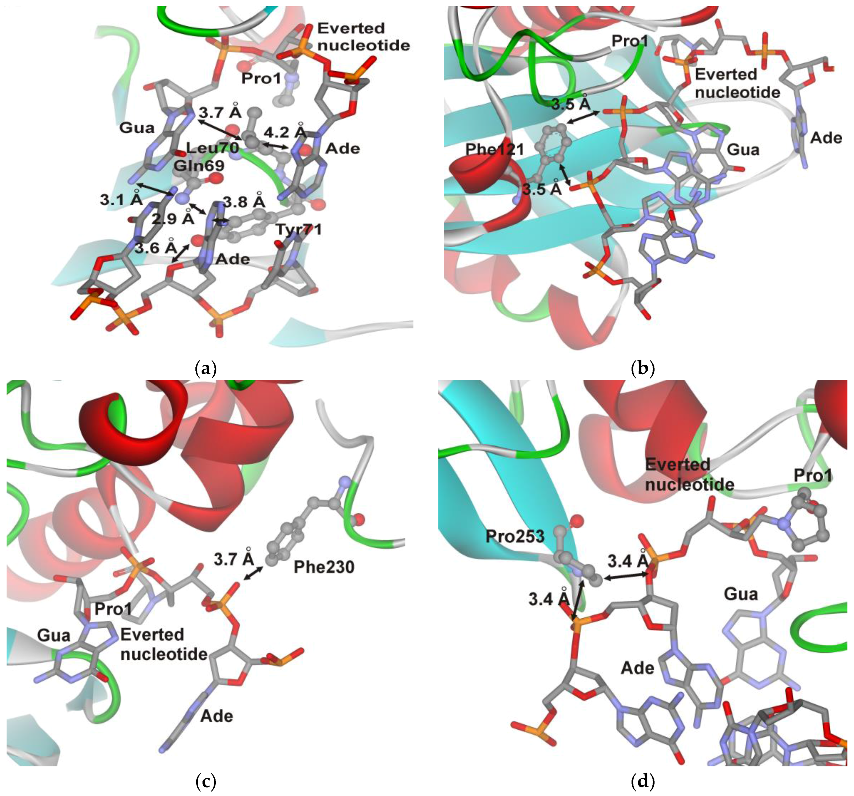 Genes 08 00140 g005 550