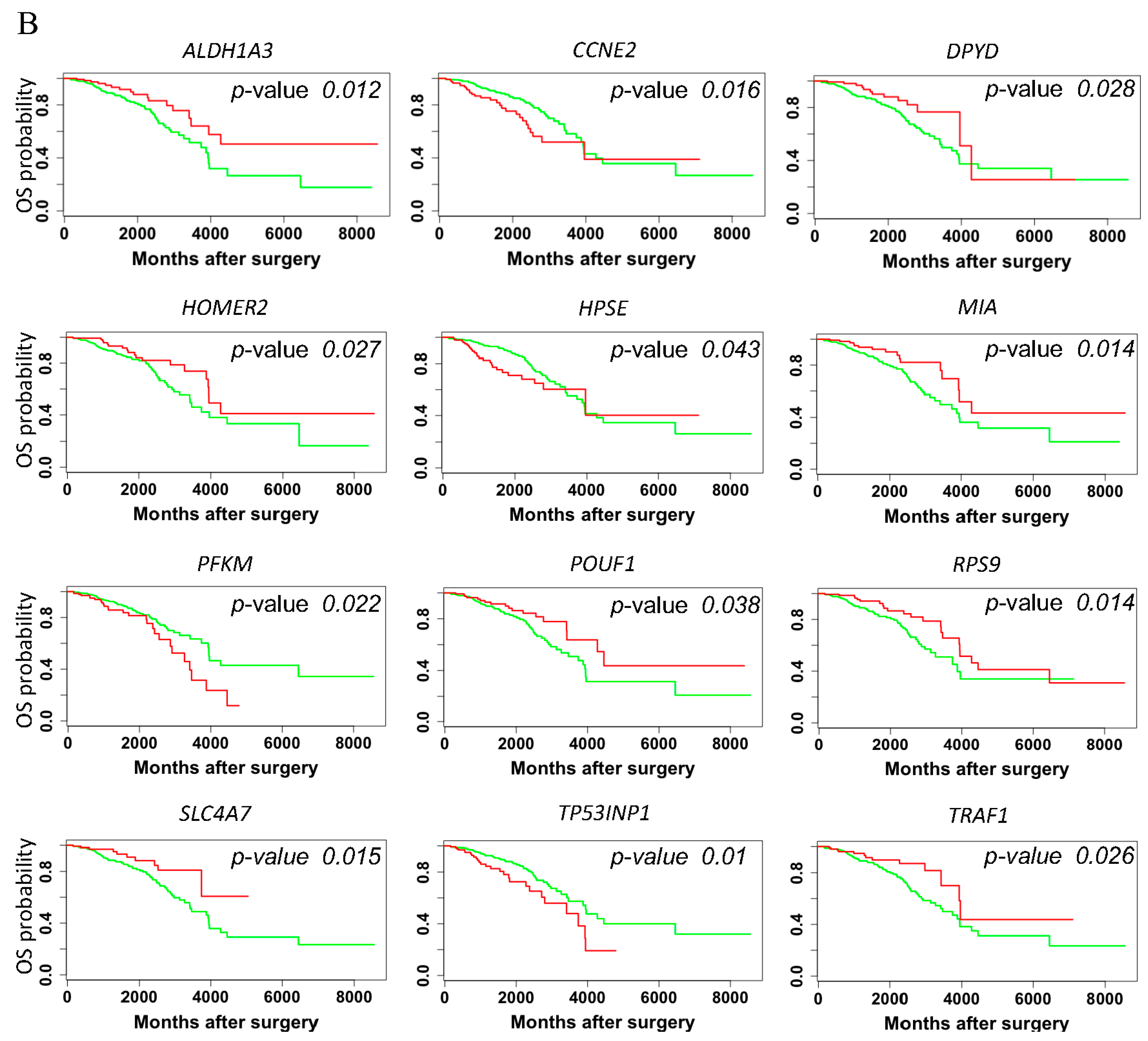 Genes 08 00144 g004b