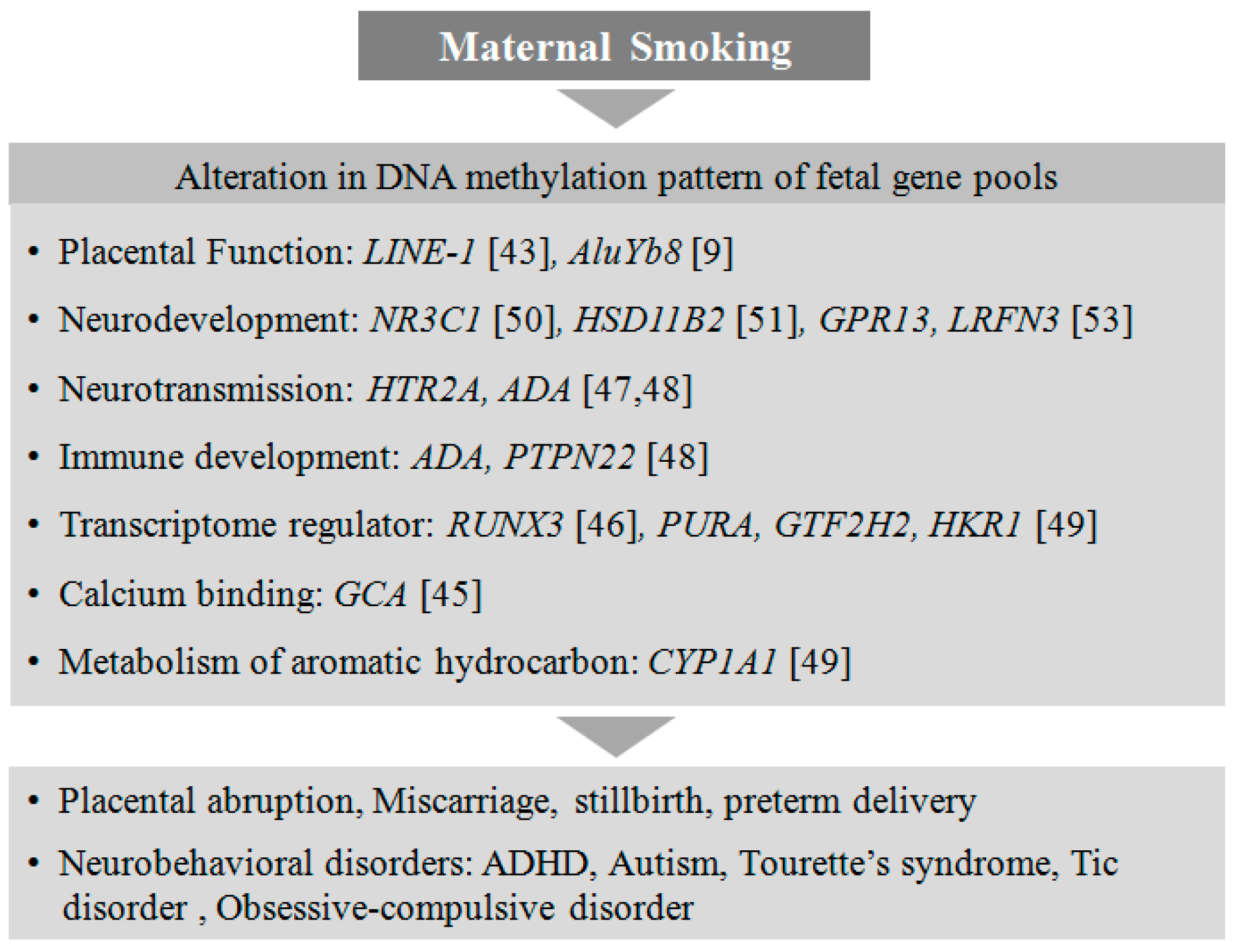Genes 08 00150 g001