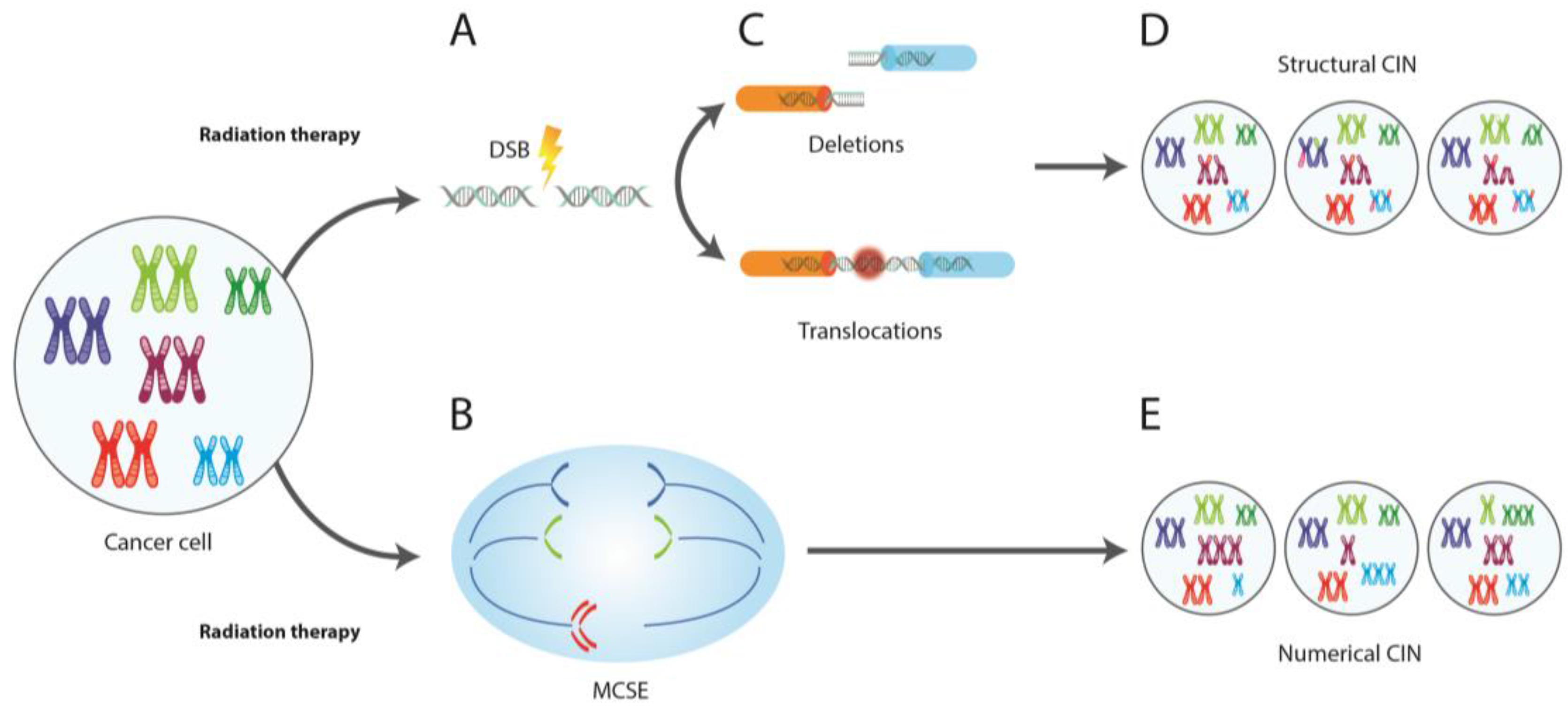 Genes | Free Full-Text | New Insights in the Cytogenetic Practice ...