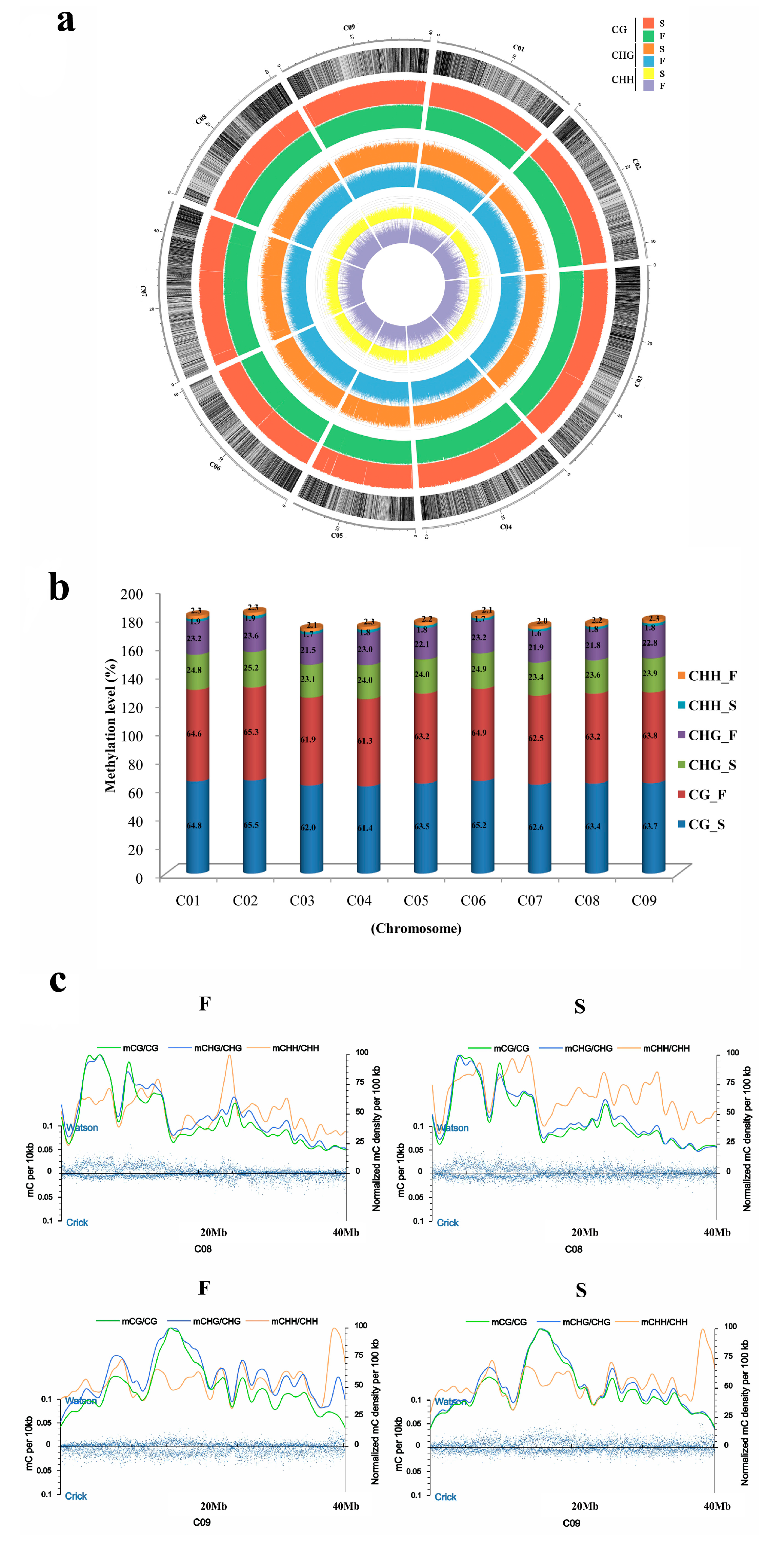 Genes 08 00159 g002