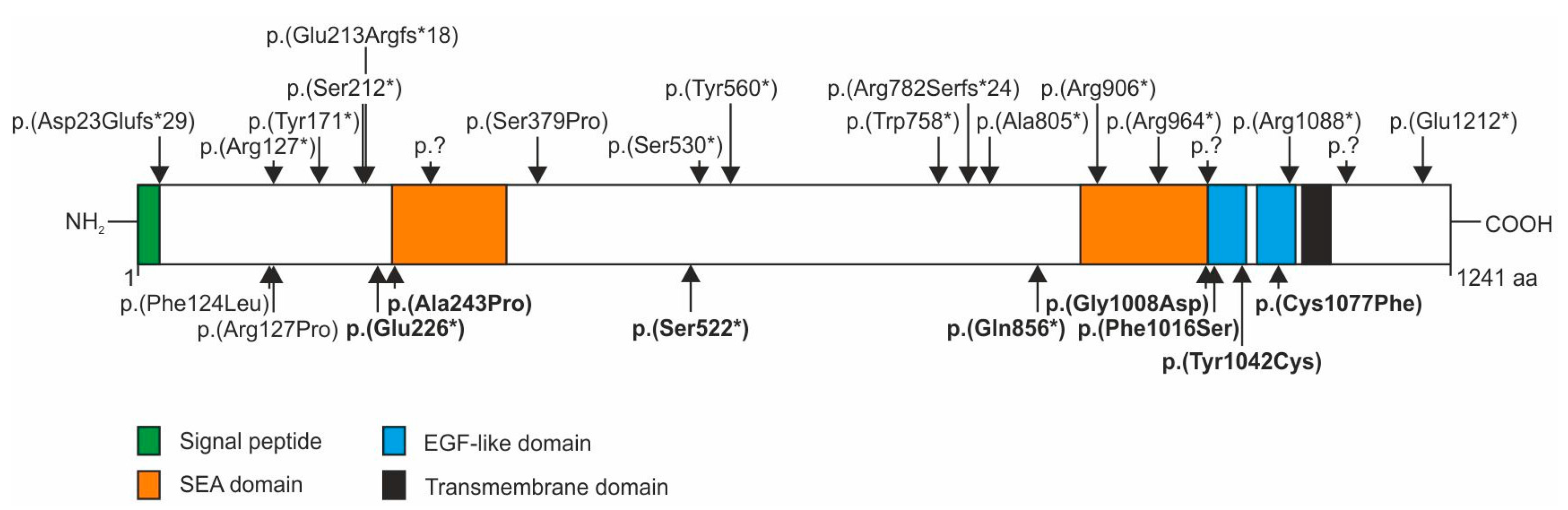 Genes 08 00170 g003 550