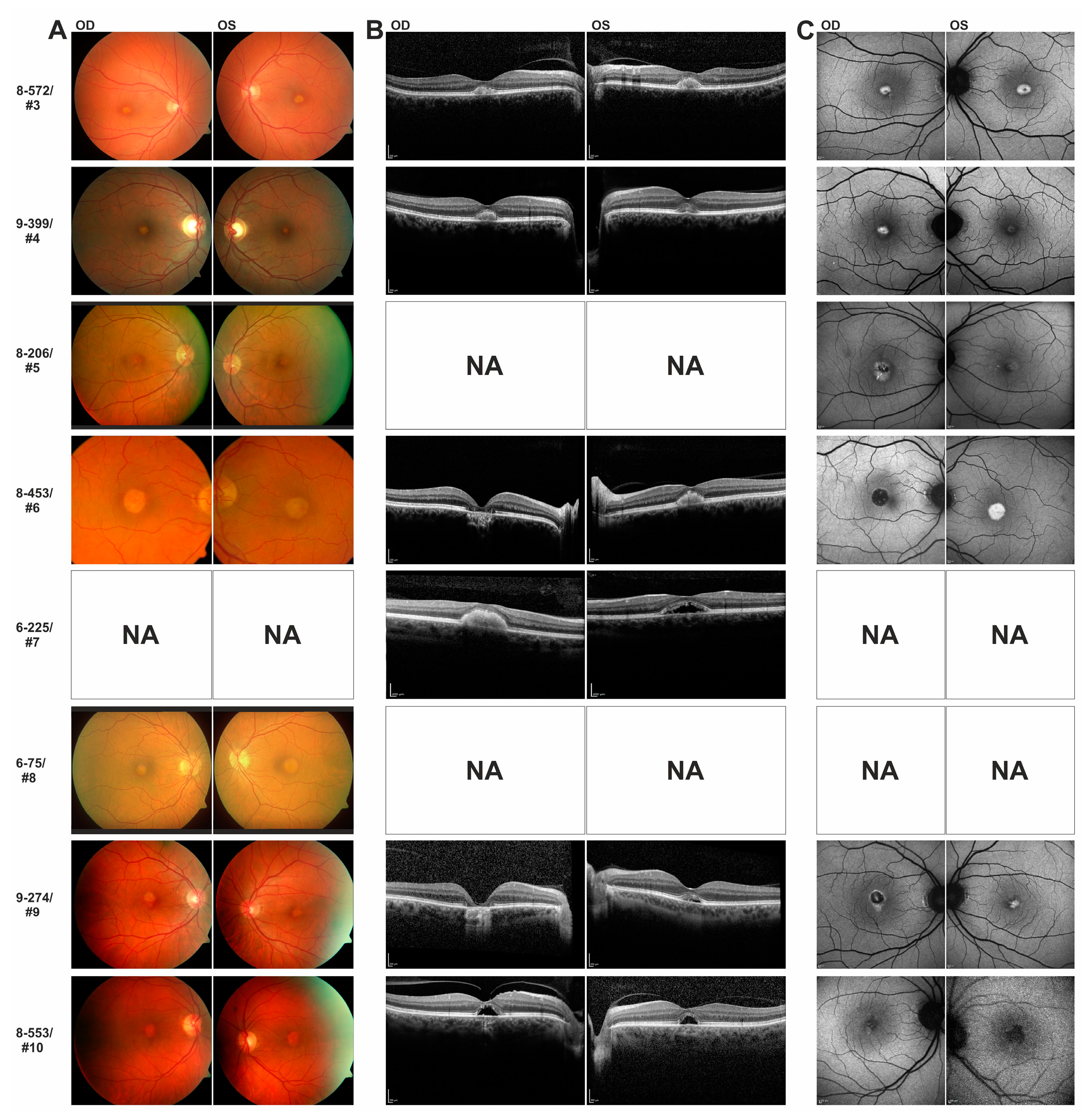 Genes 08 00170 g004 550