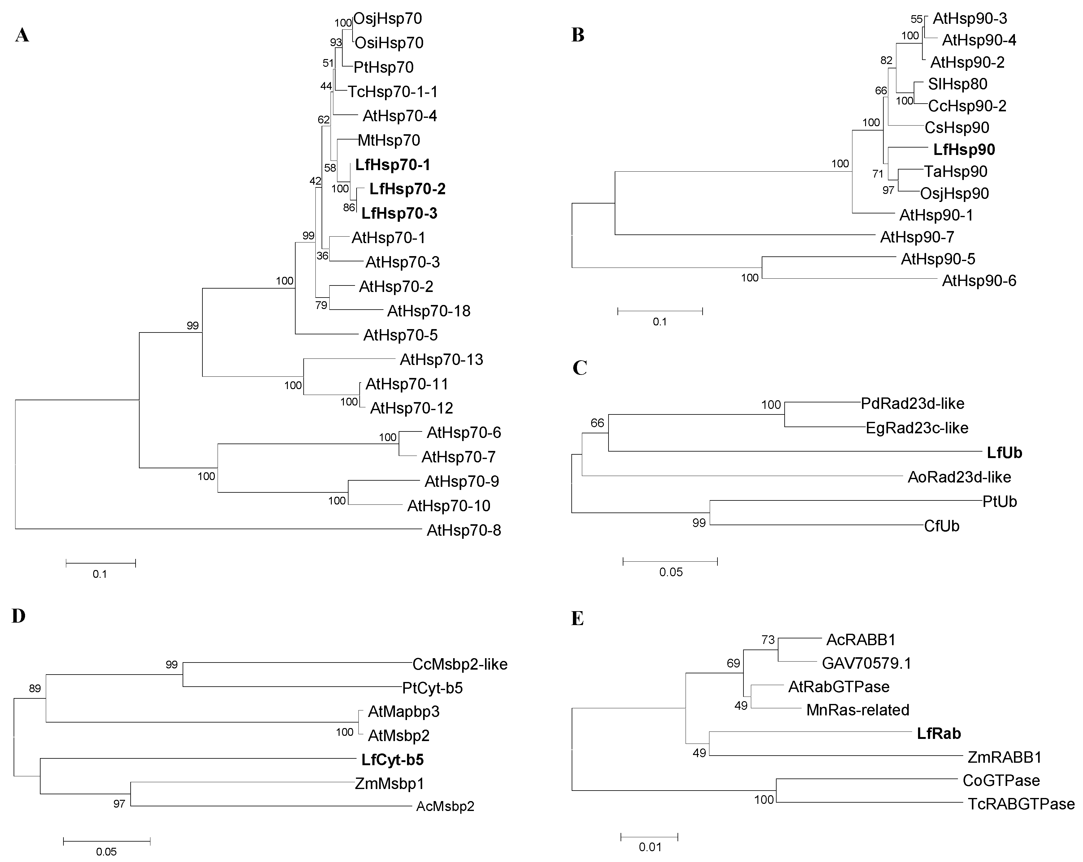 Genes 08 00172 g001 Genes 08 00172 g001