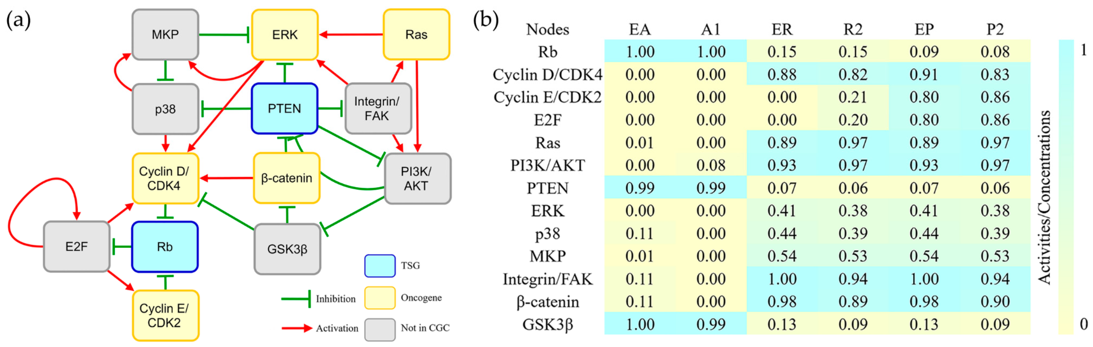 Genes 08 00182 g001