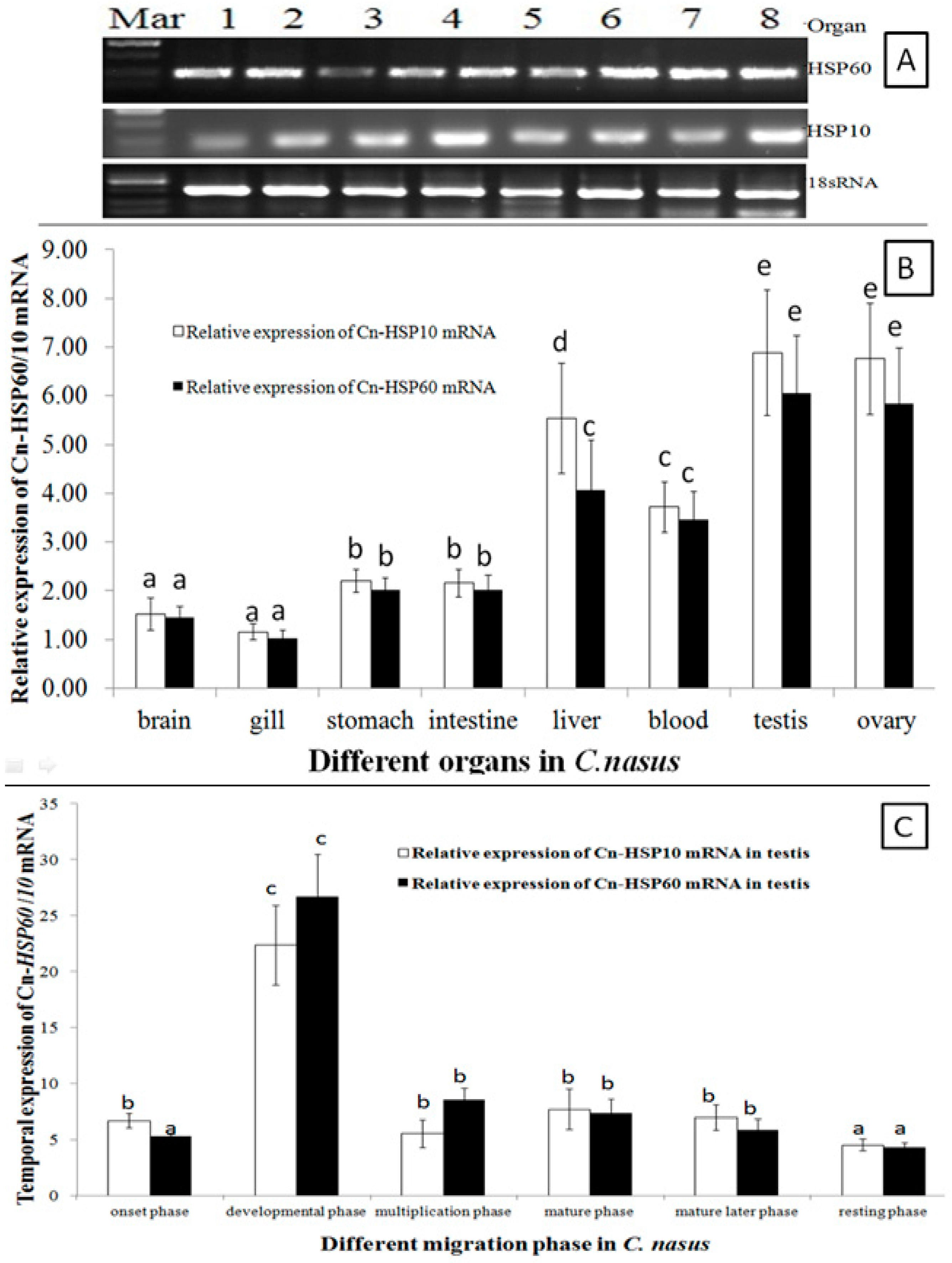Genes 08 00189 g003 550