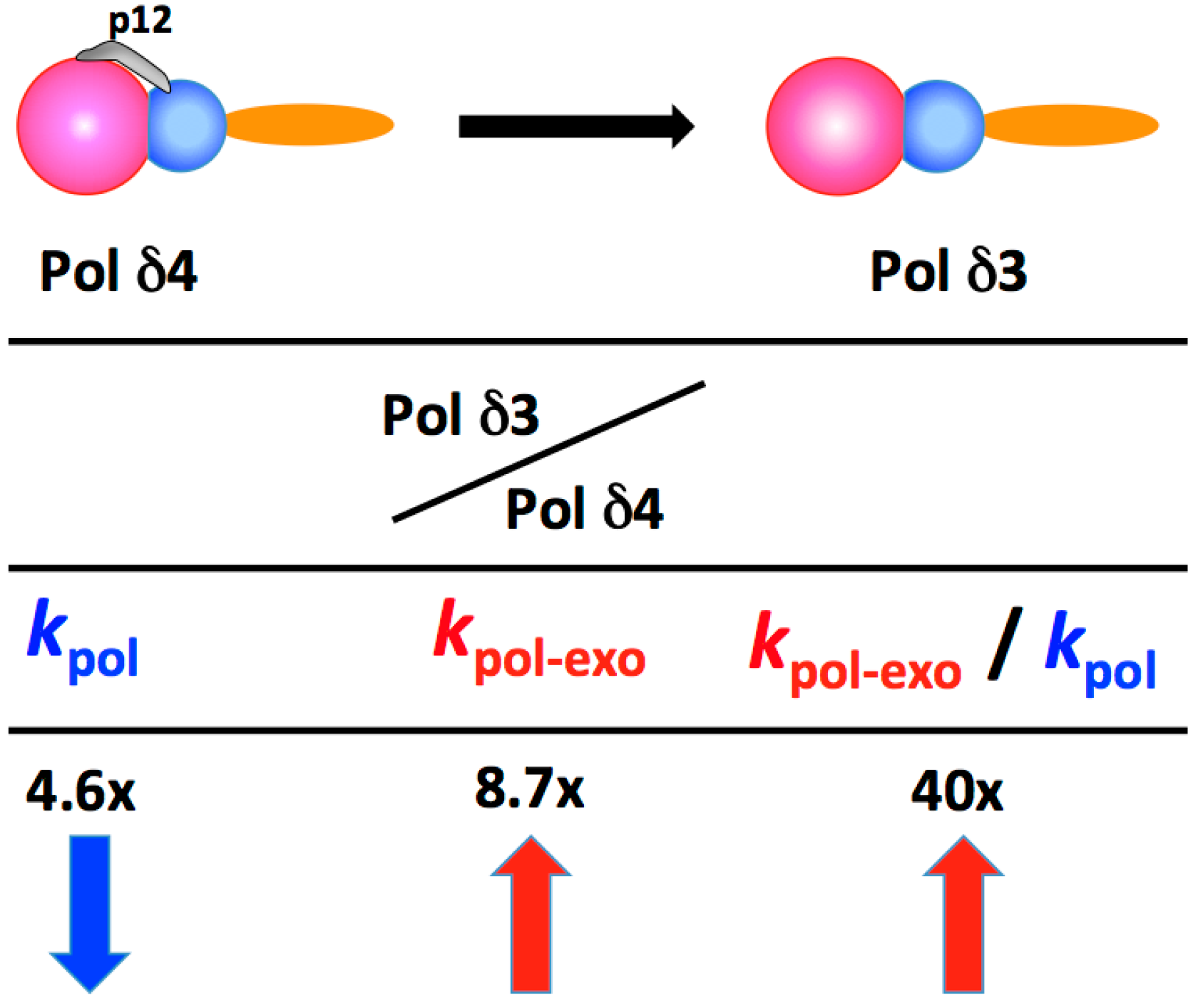 Genes 08 00190 g003 Genes 08 00190 g003
