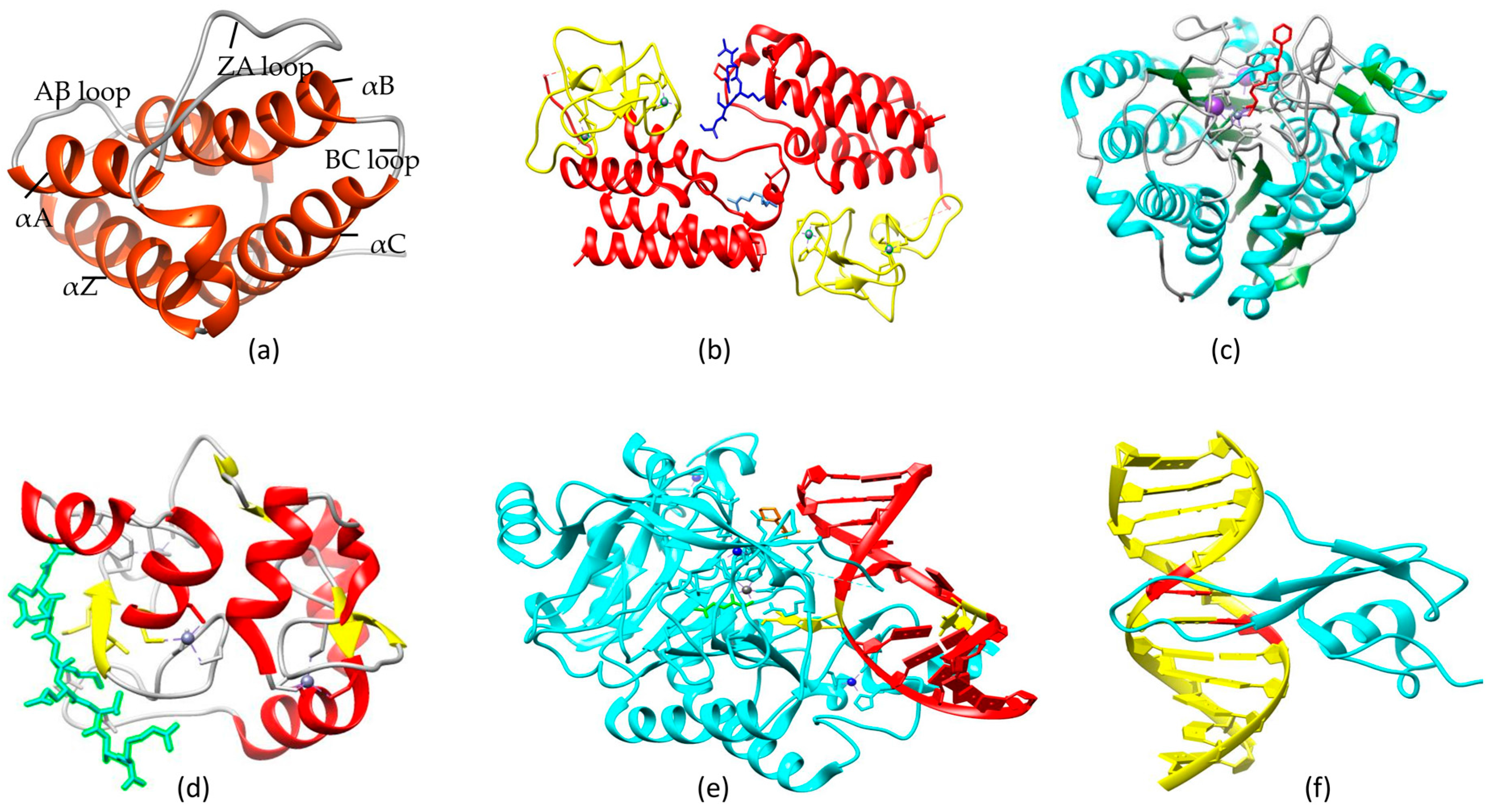 Acetylation- and Methylation-Related Epigenetic Proteins in
