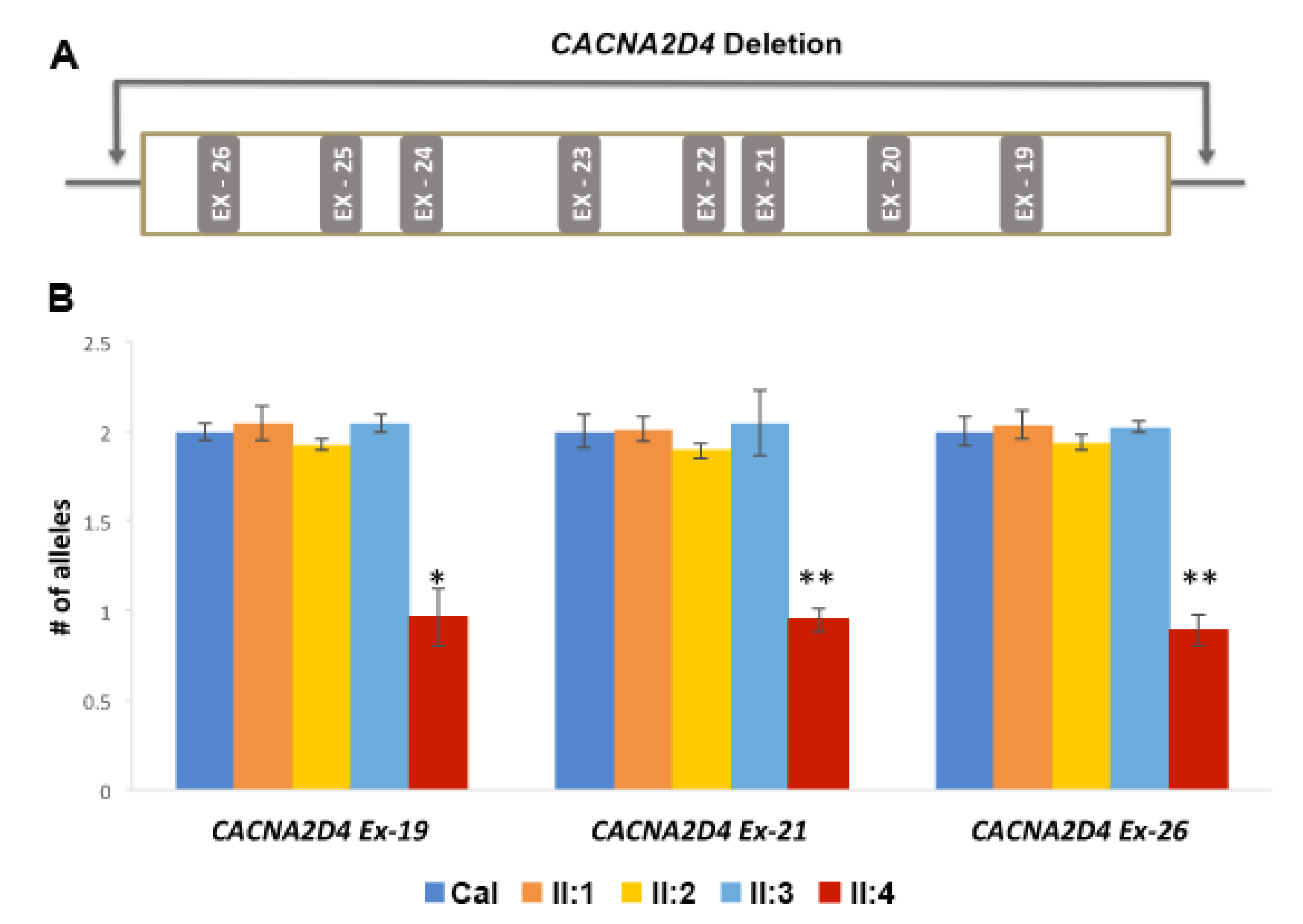 Genes 08 00210 g006 Genes 08 00210 g006