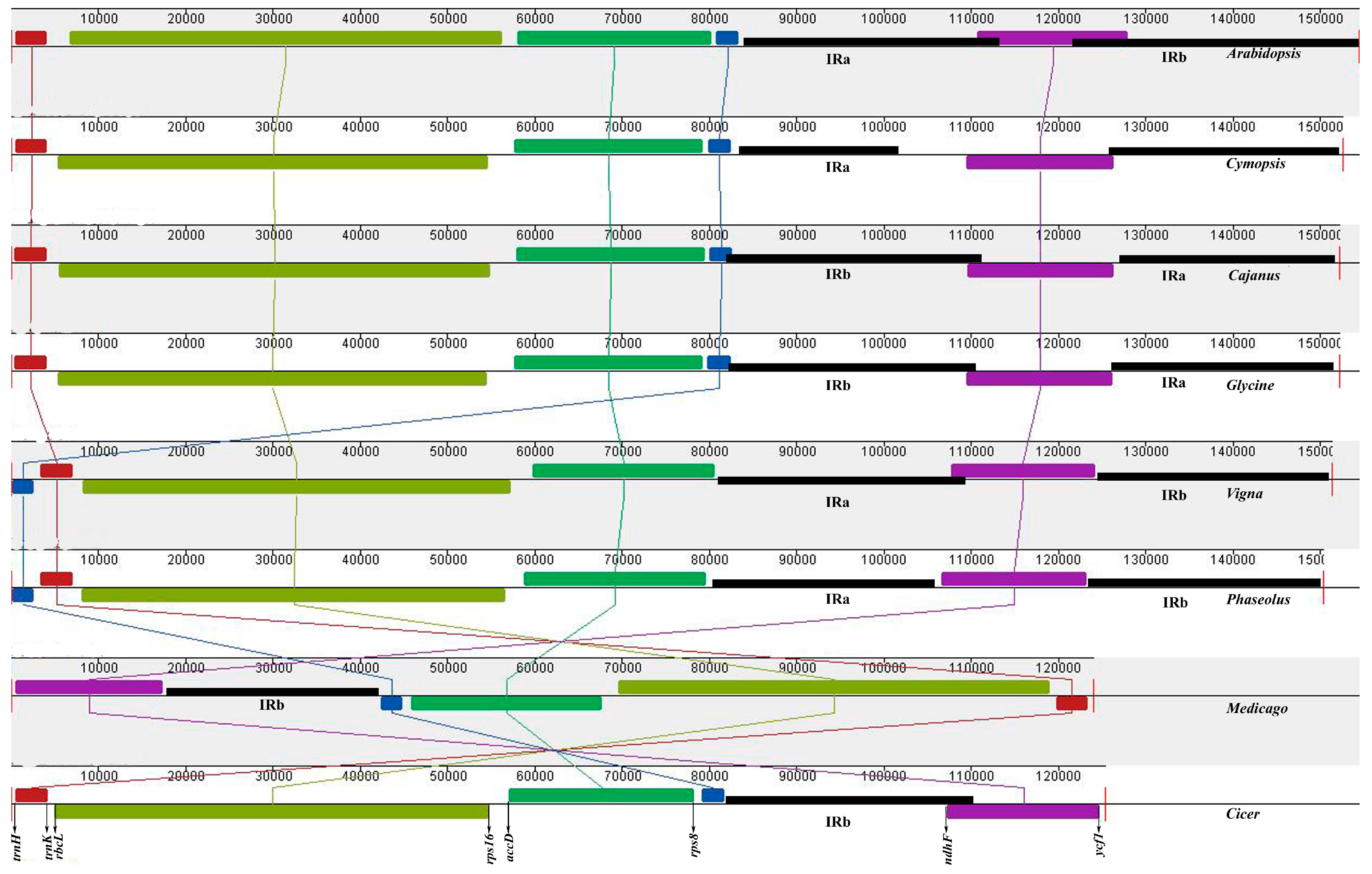 Genes 08 00212 g002 Genes 08 00212 g002