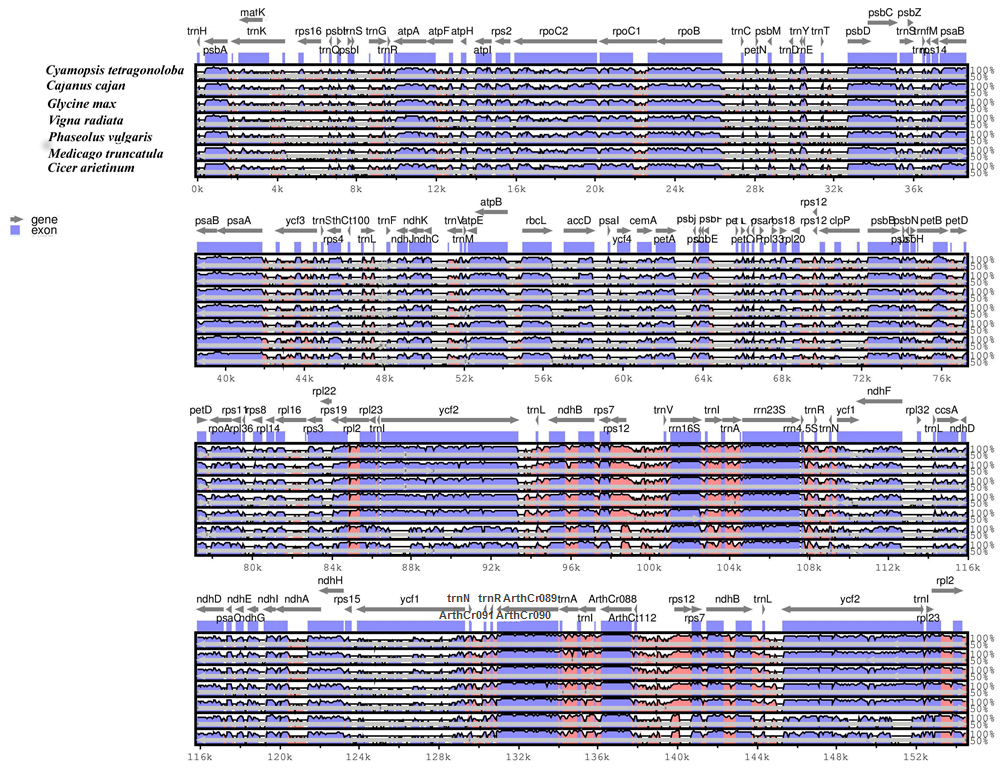 Genes 08 00212 g003 Genes 08 00212 g003