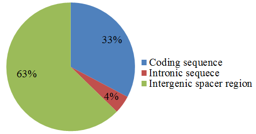 Genes 08 00212 g006 Genes 08 00212 g006