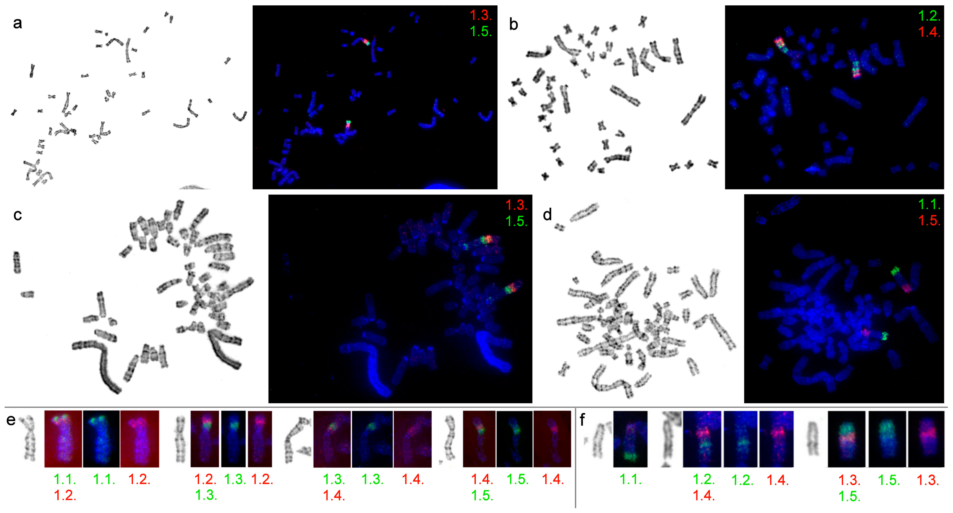 Genes 08 00215 g002 550