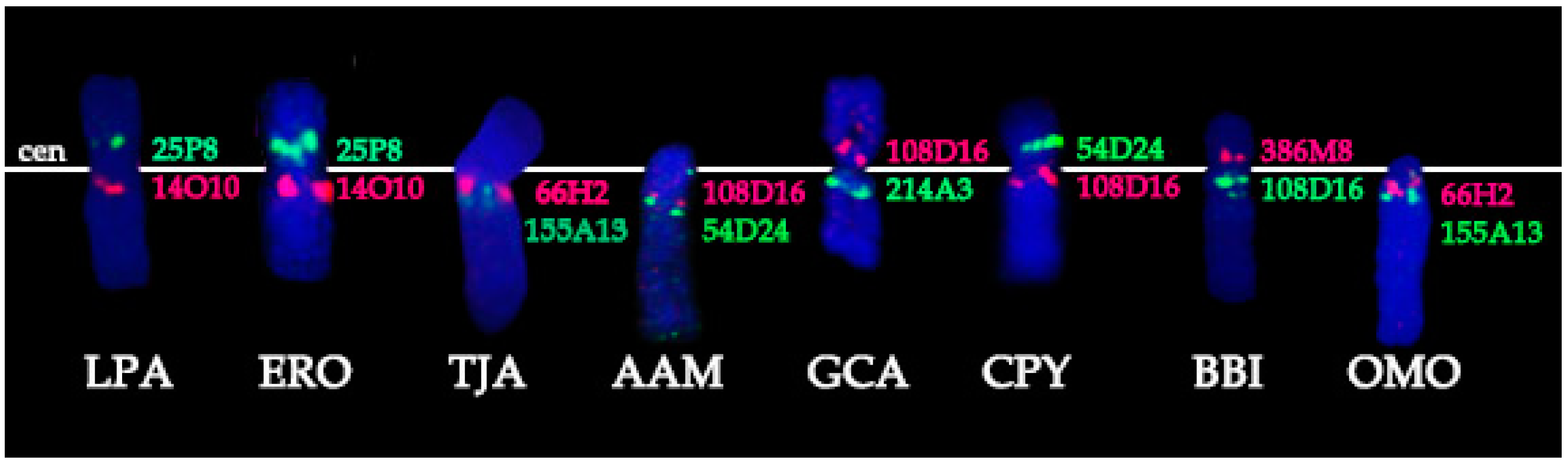 Genes 08 00216 g001 550