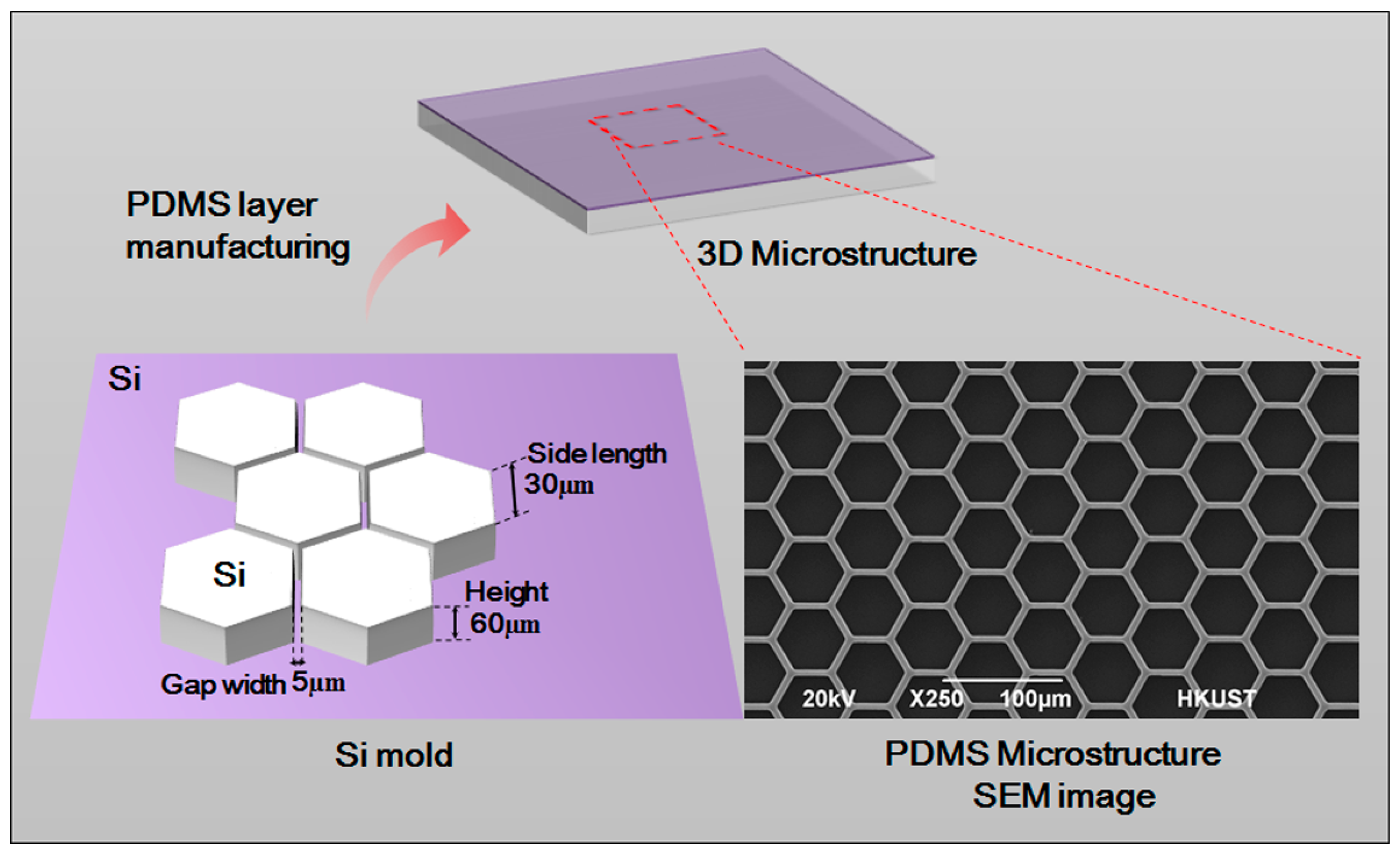 Genes 08 00218 g002 Genes 08 00218 g002