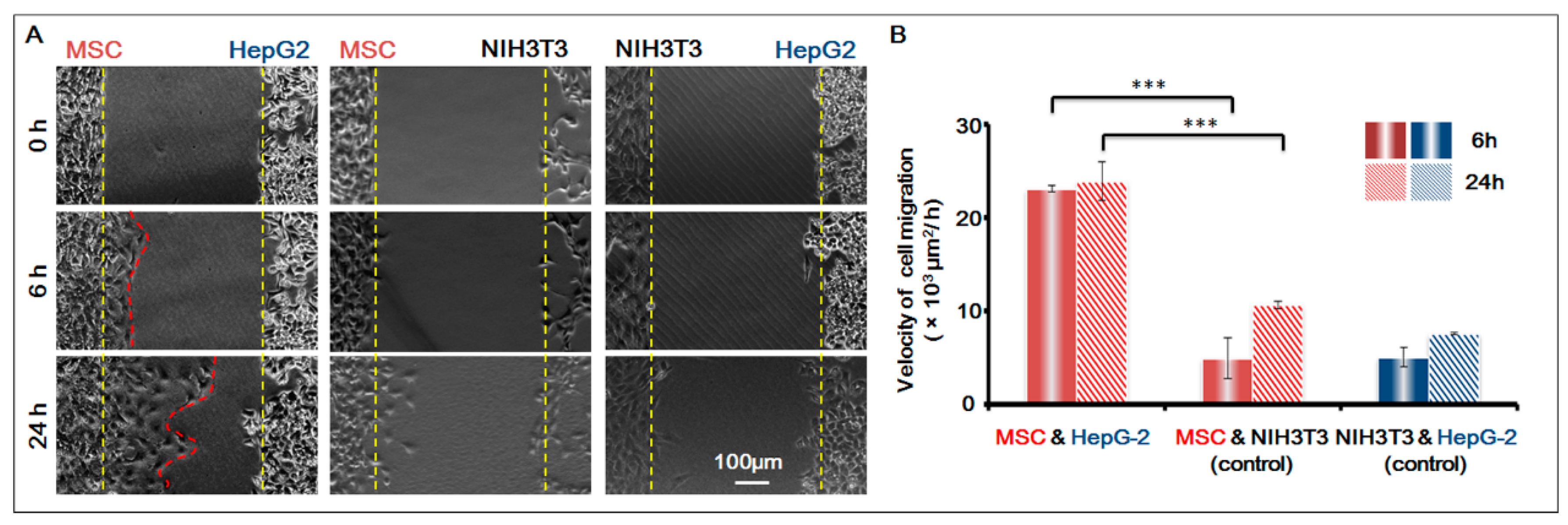 Genes 08 00218 g004 Genes 08 00218 g004