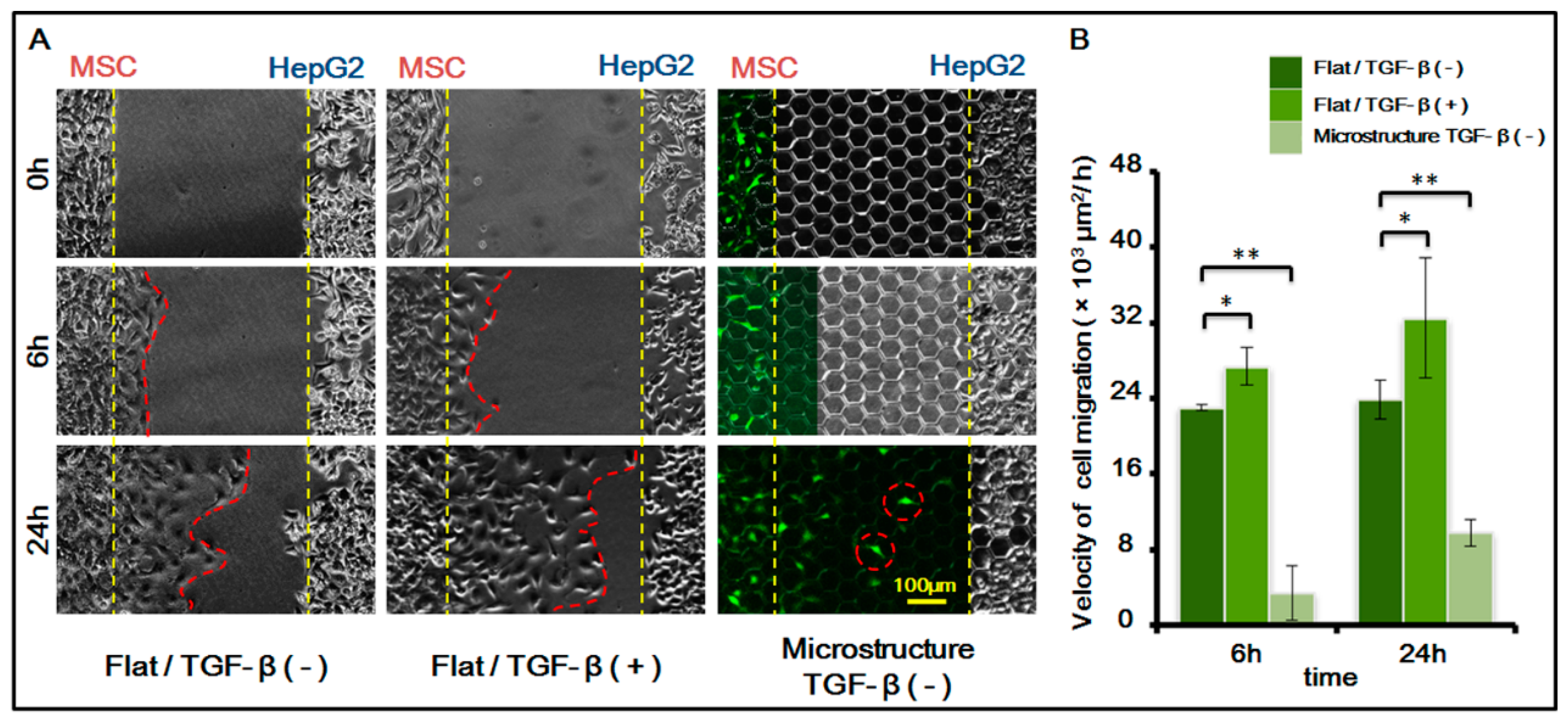 Genes 08 00218 g005 Genes 08 00218 g005