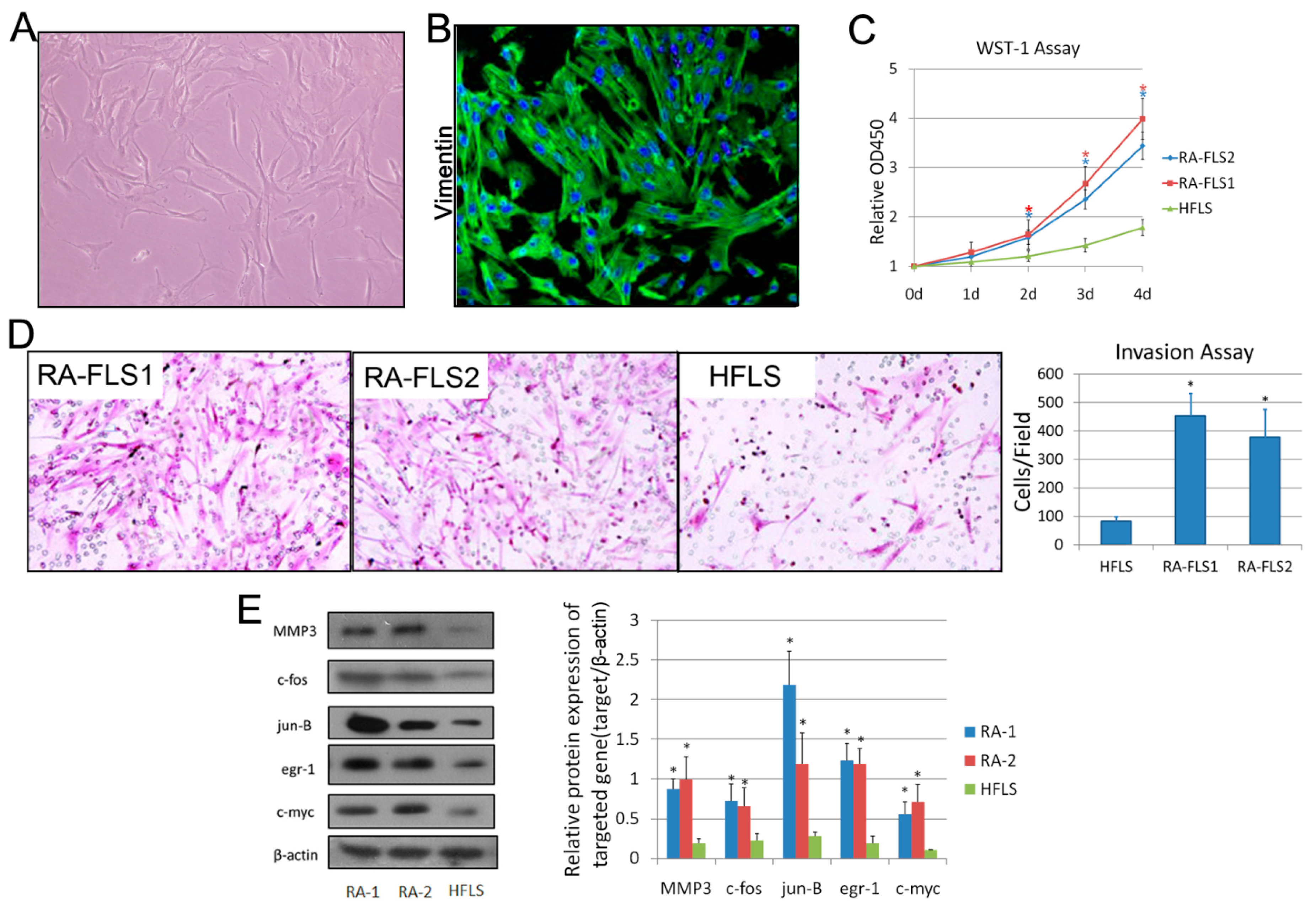 Genes 08 00221 g001