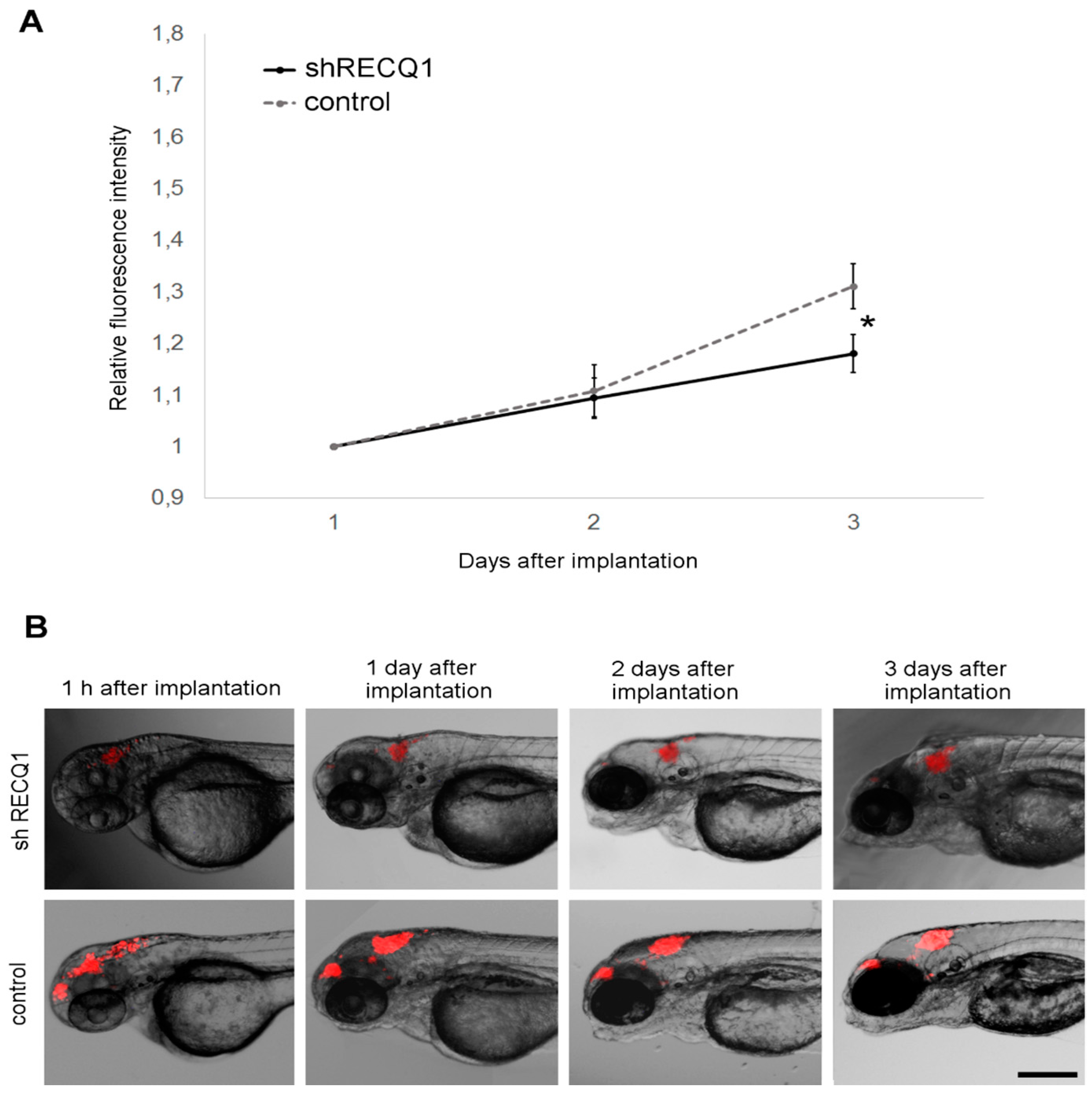 Genes 08 00222 g005 Genes 08 00222 g005