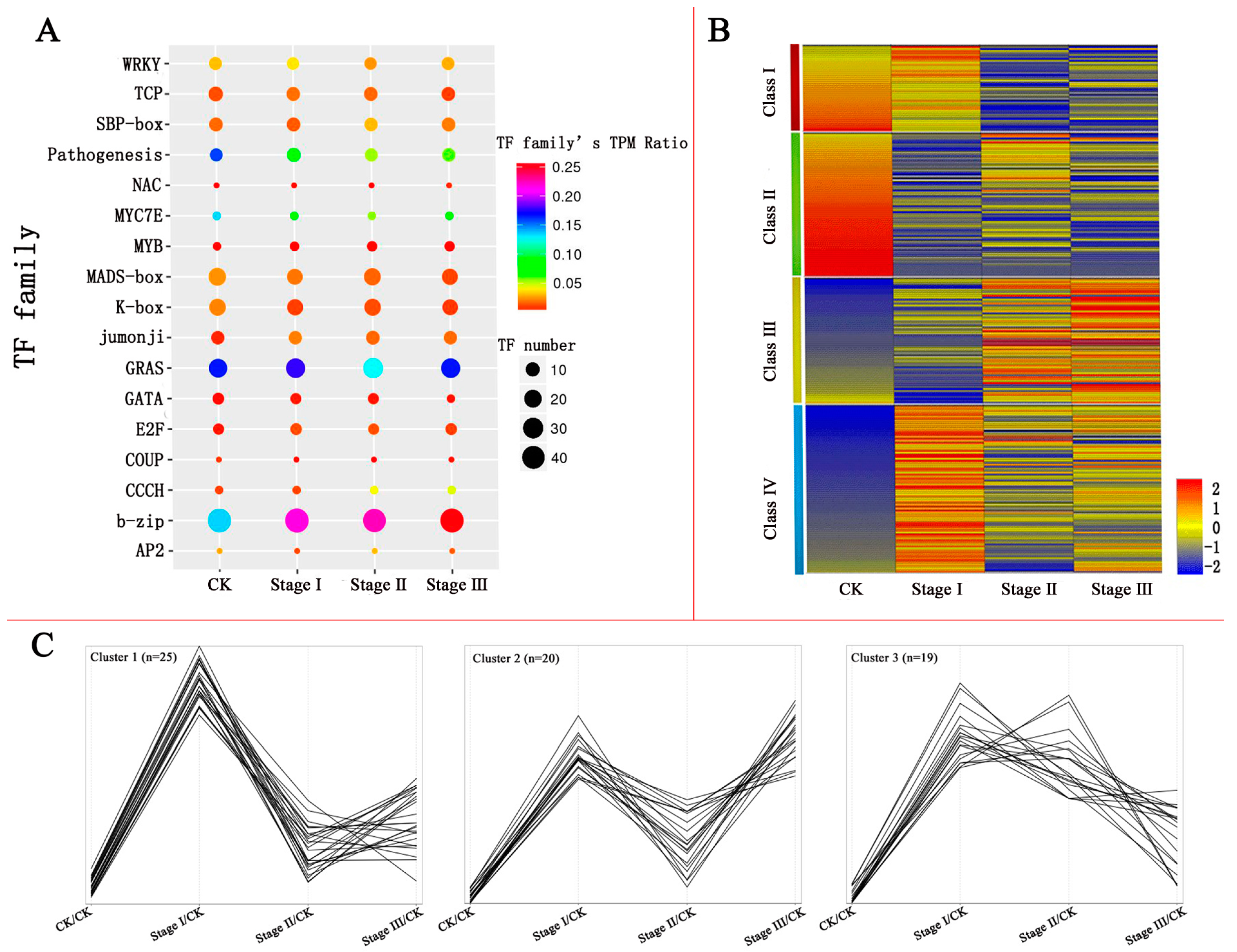 Genes 08 00231 g002 Genes 08 00231 g002