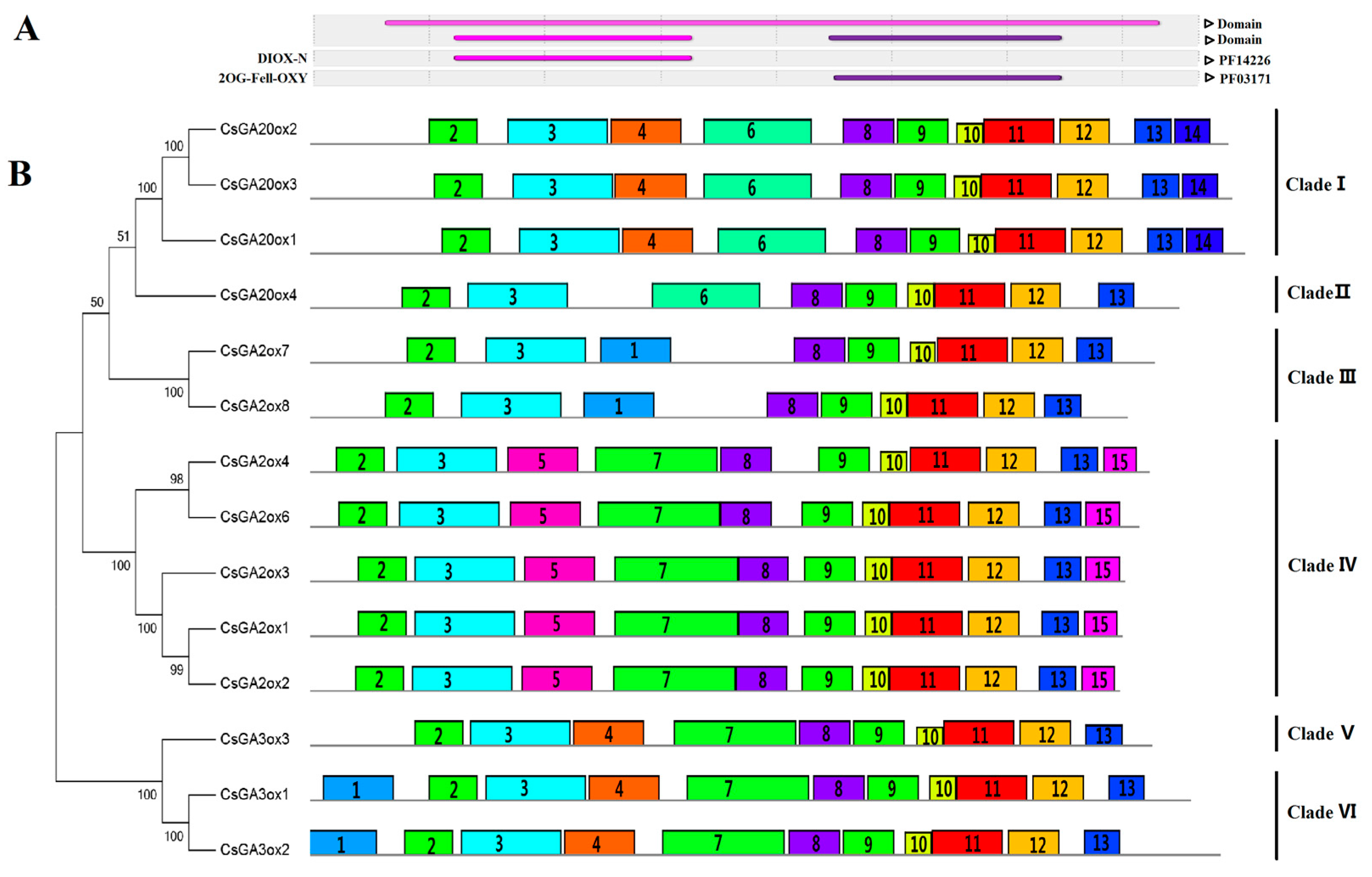Genes 08 00235 g004 Genes 08 00235 g004