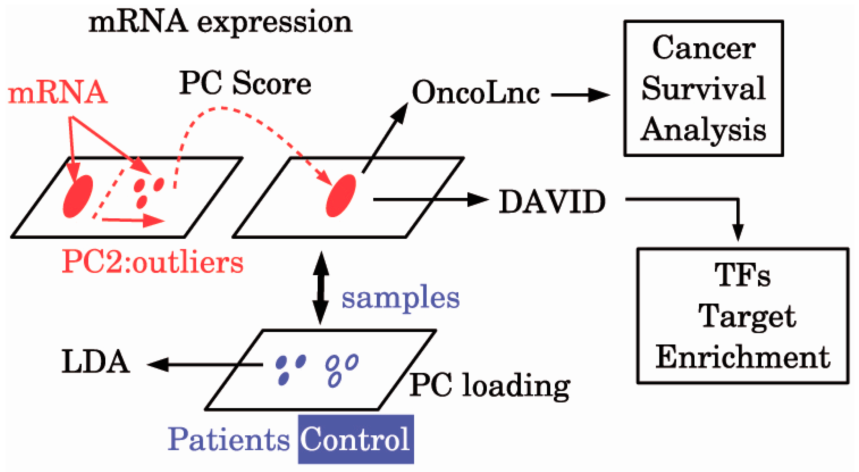 Genes 08 00243 g001