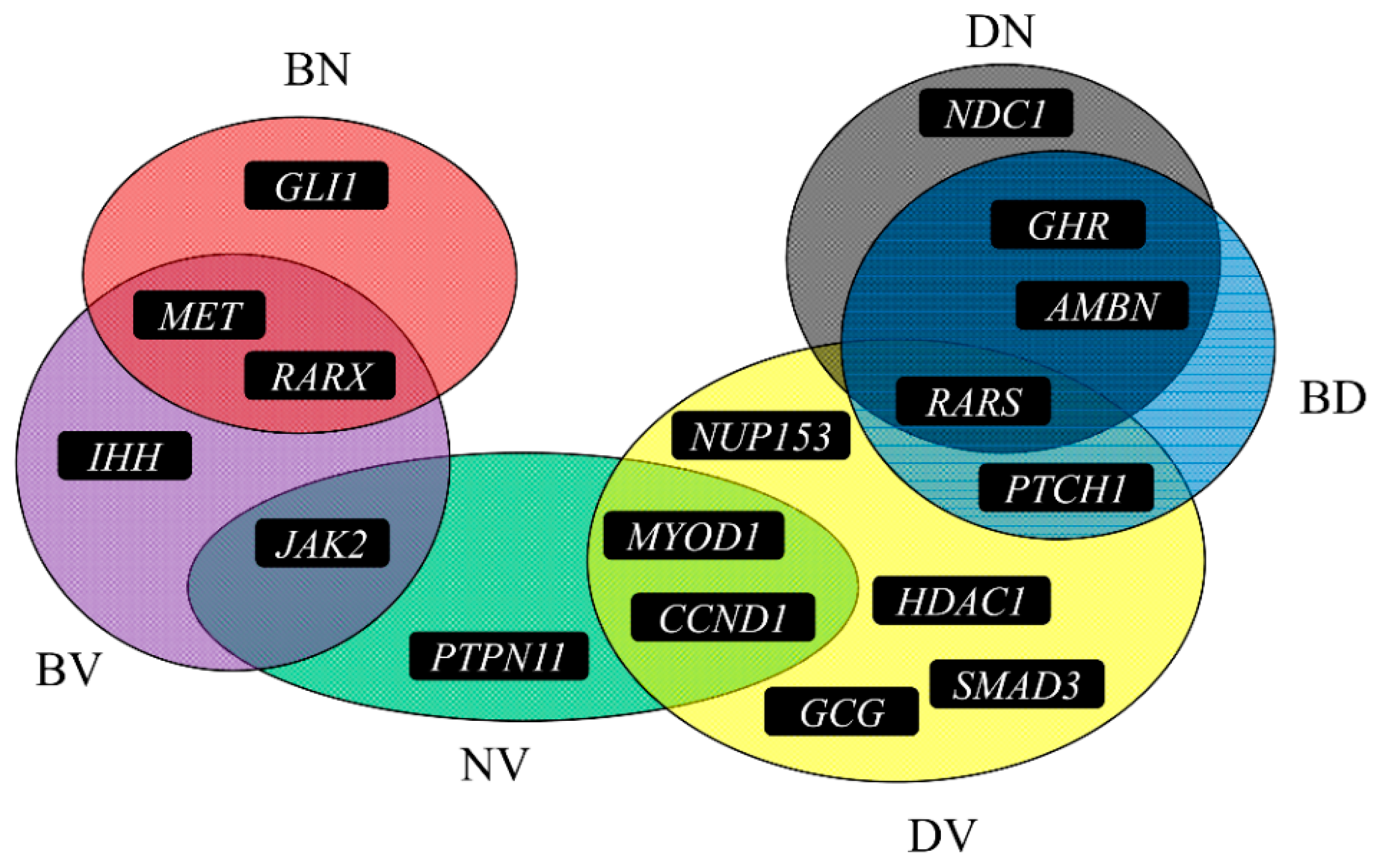Genes 08 00252 g004 Genes 08 00252 g004