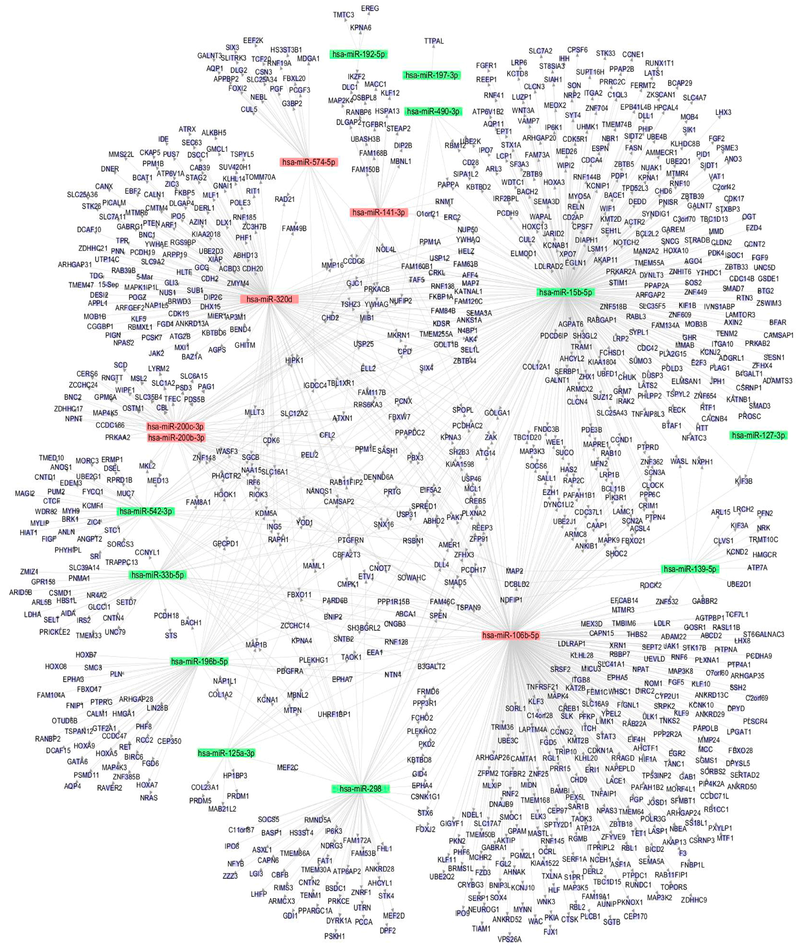 Genes 08 00254 g004 Genes 08 00254 g004