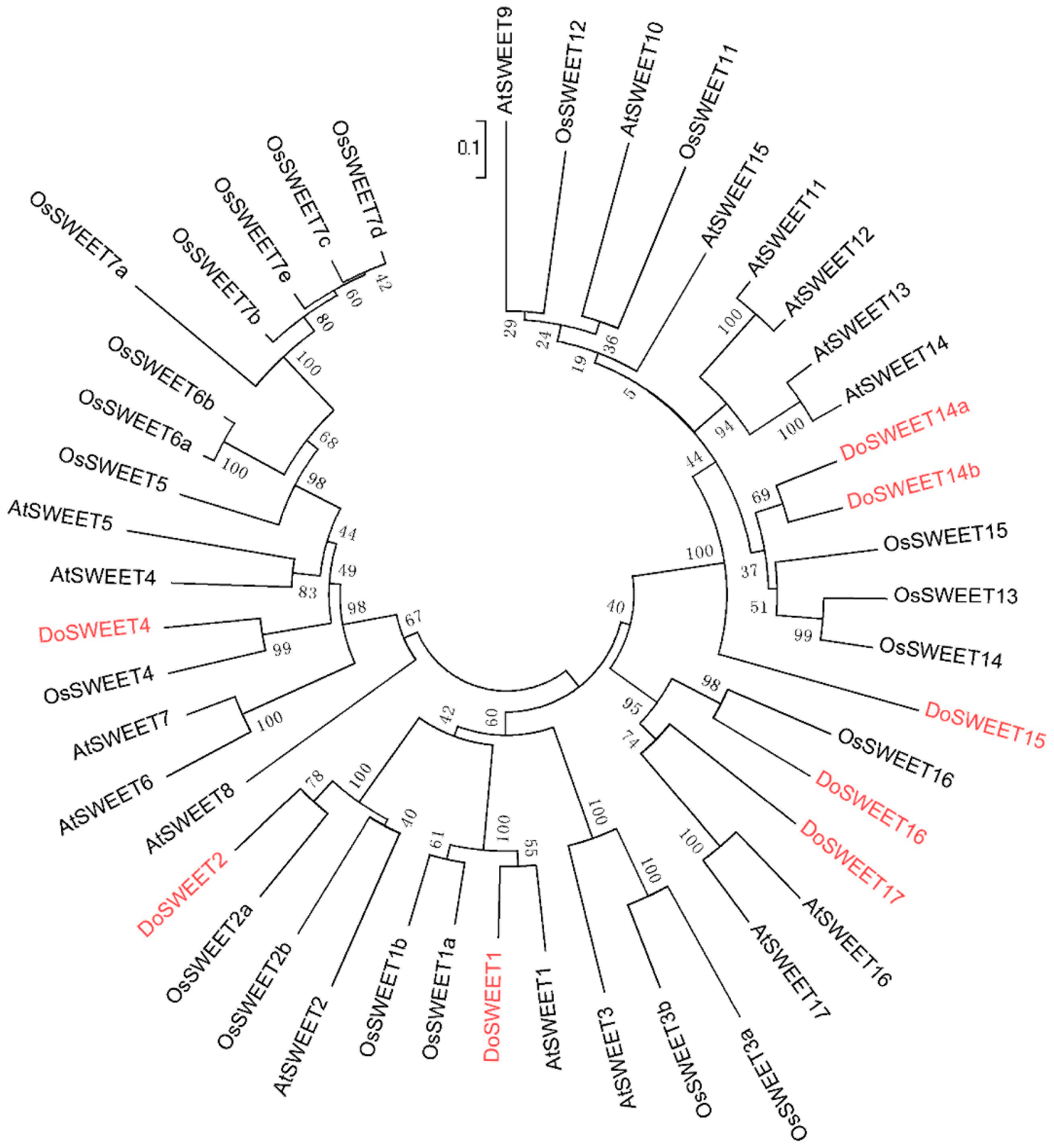 Genes 08 00257 g005 Genes 08 00257 g005
