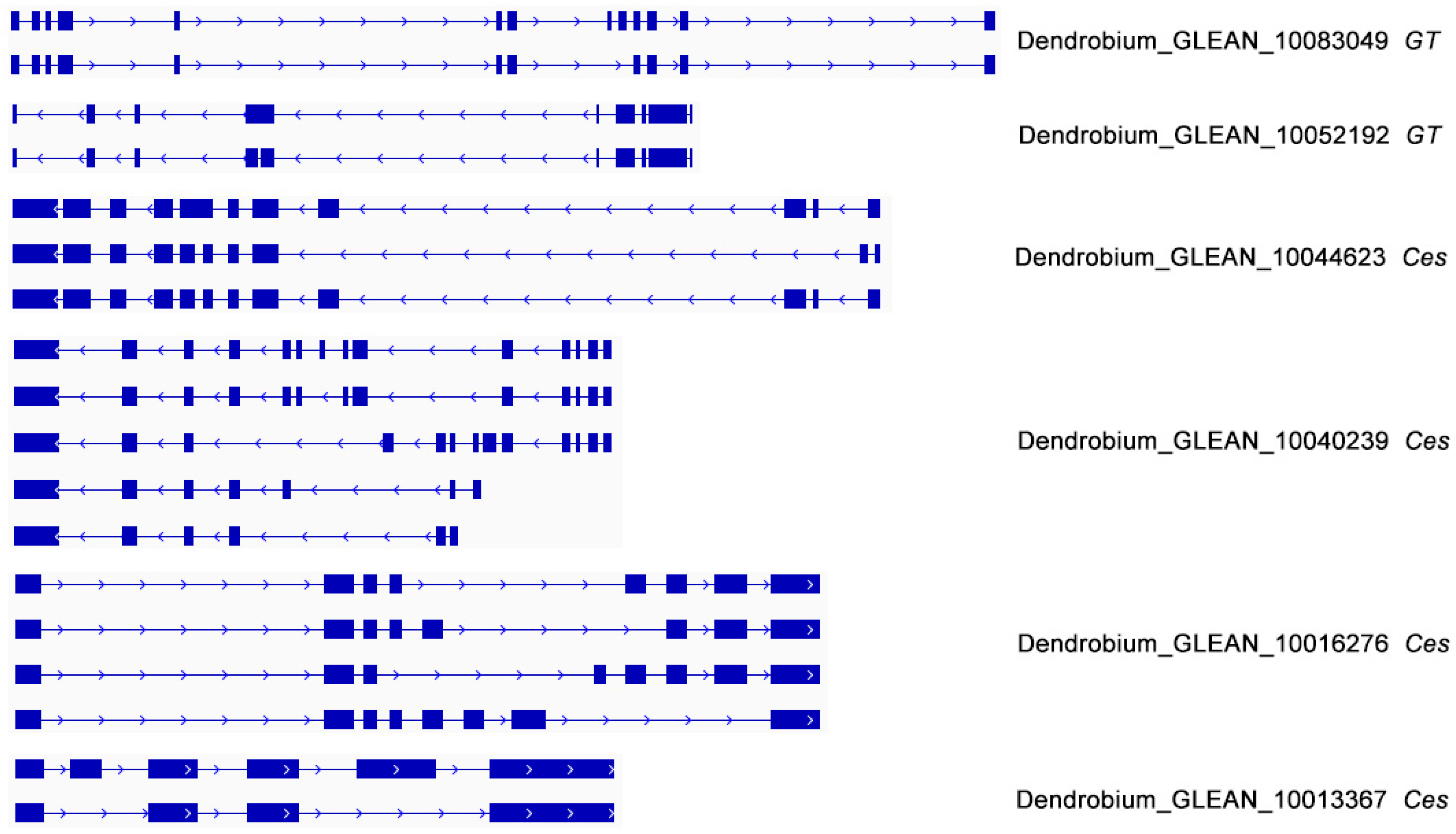 Genes 08 00257 g007 Genes 08 00257 g007