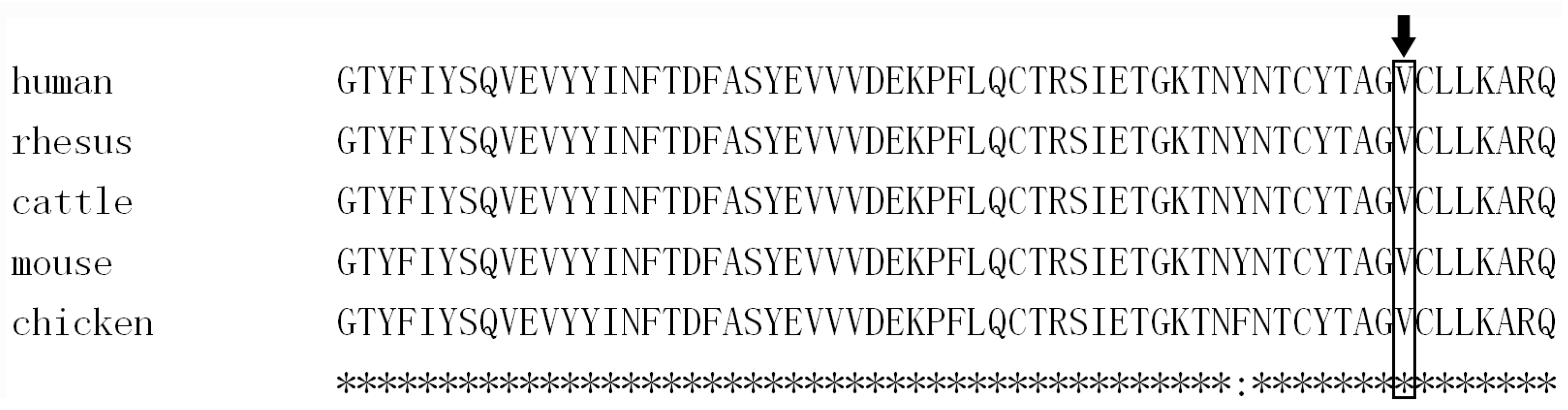 Genes 08 00259 g003 Genes 08 00259 g003