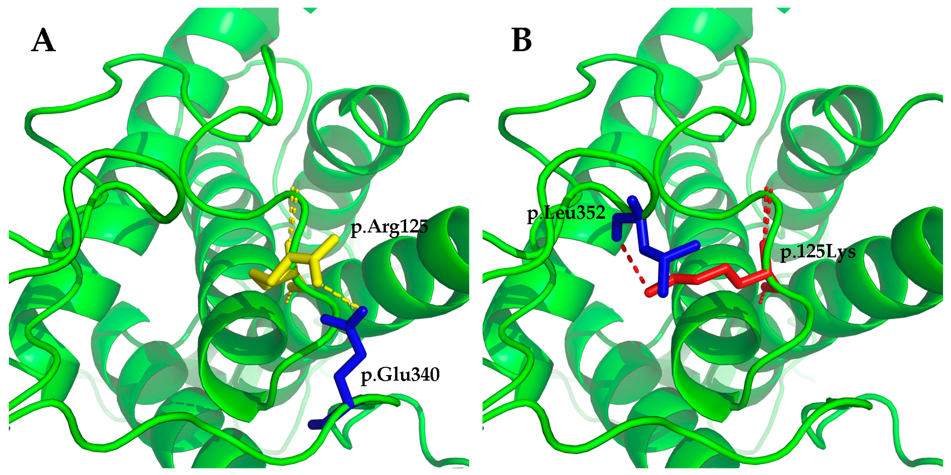 Genes 08 00259 g007 Genes 08 00259 g007