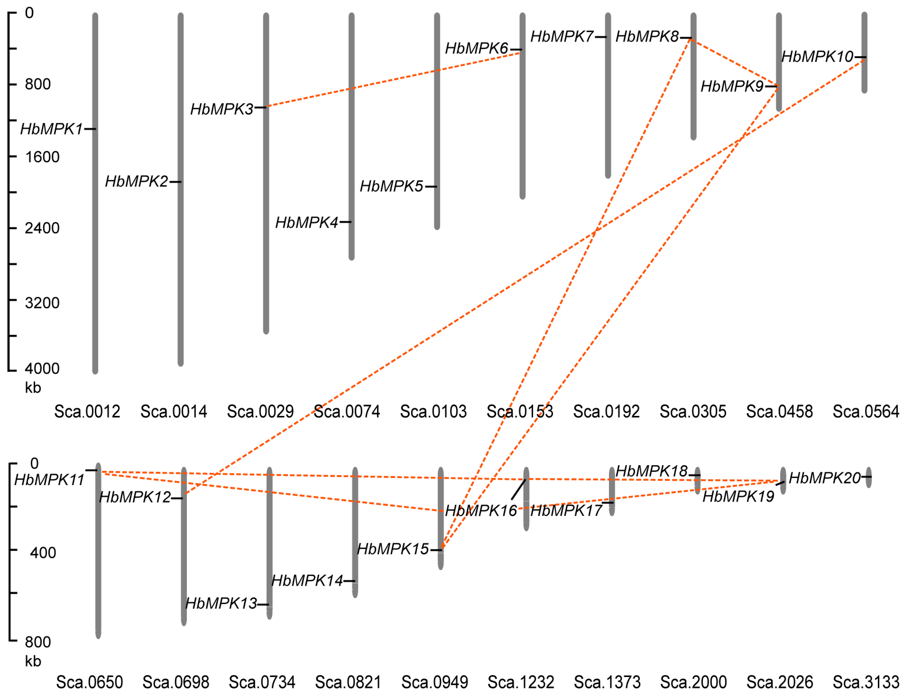 Genes 08 00261 g002 Genes 08 00261 g002