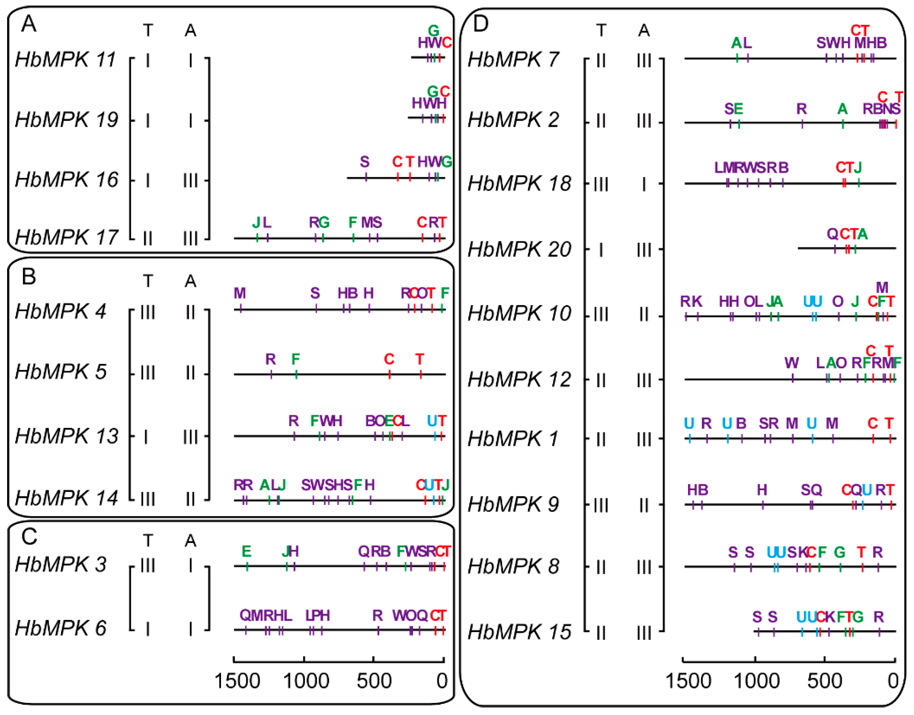 Genes 08 00261 g009 Genes 08 00261 g009