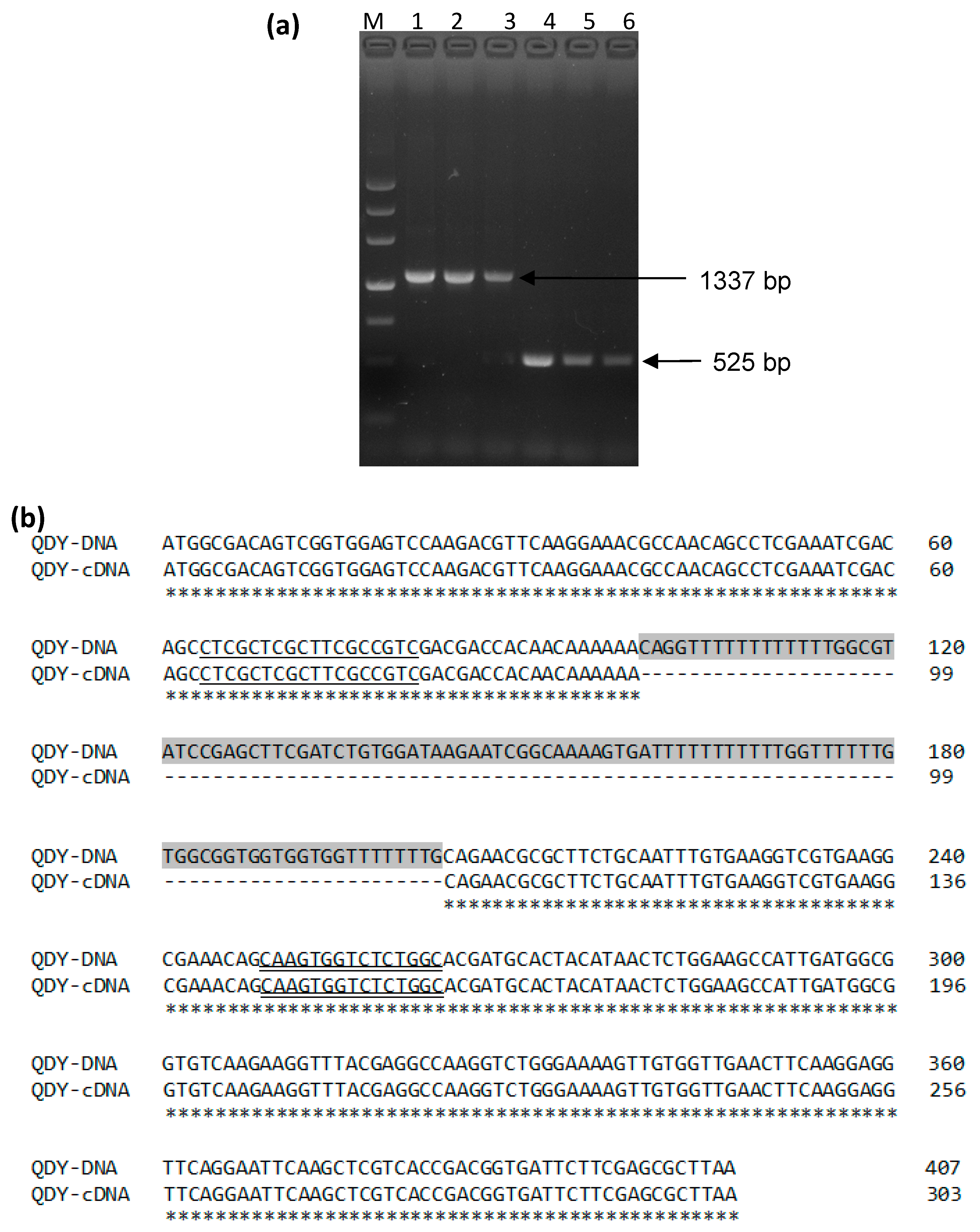 Genes 08 00265 g002 Genes 08 00265 g002