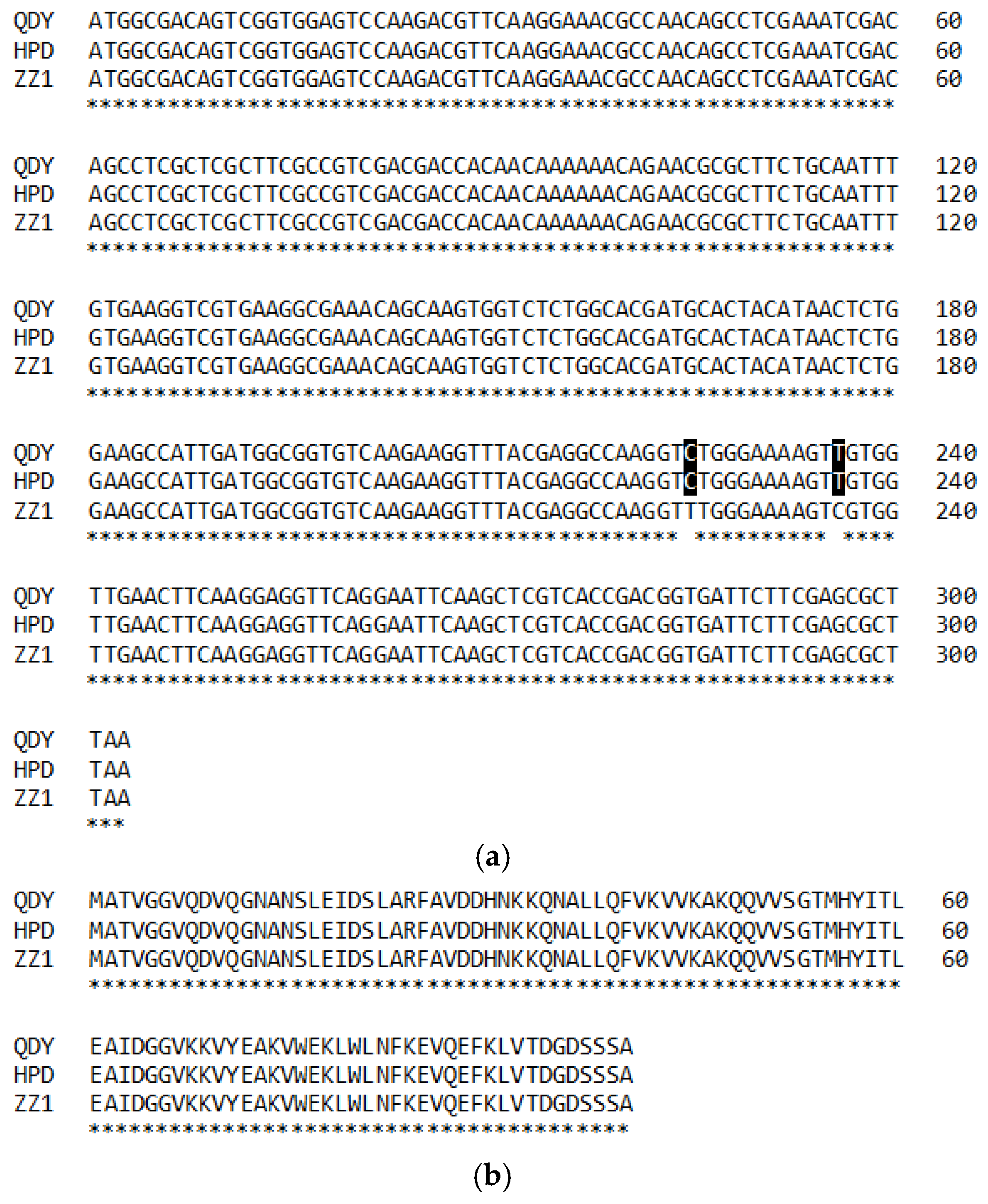 Genes 08 00265 g003 Genes 08 00265 g003