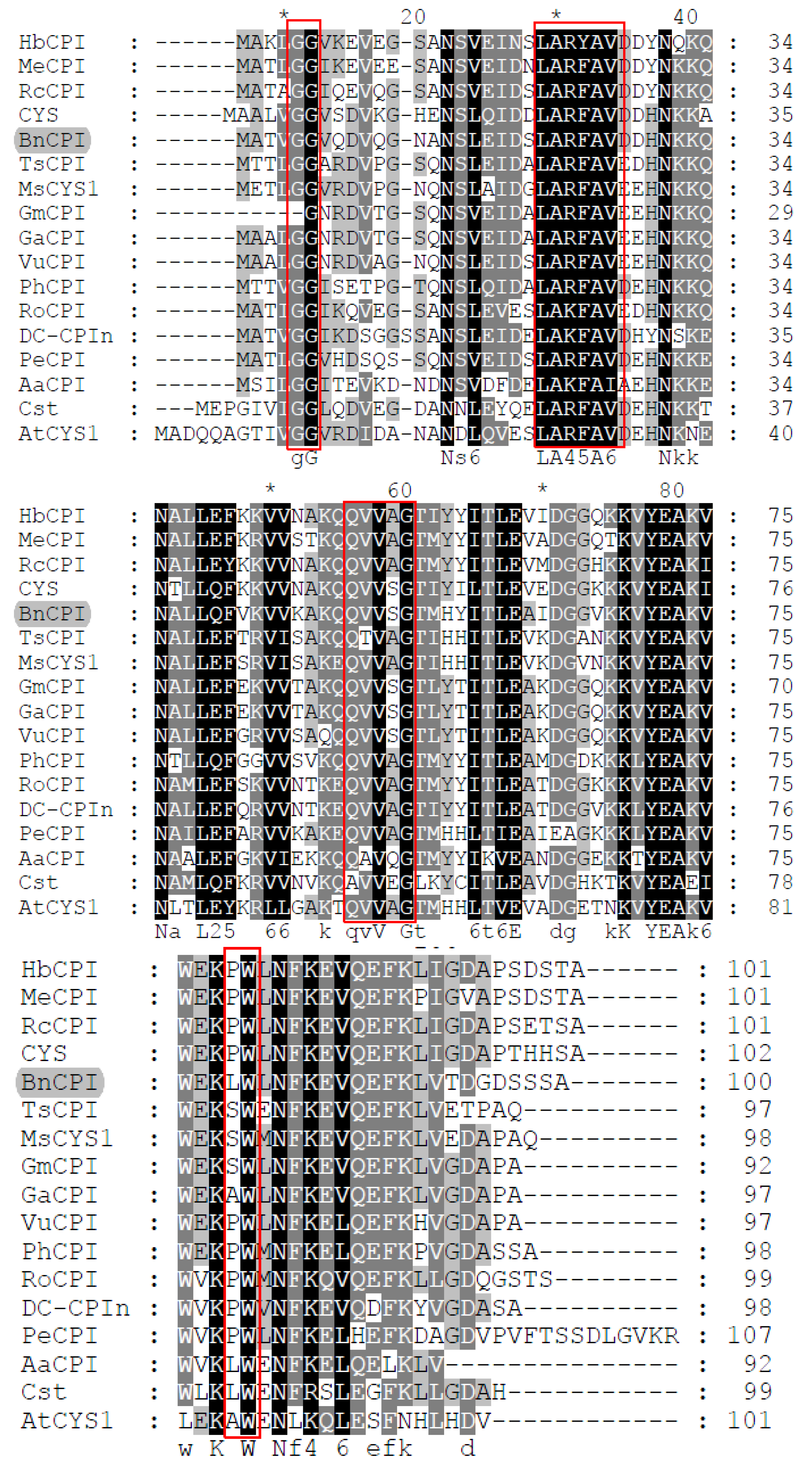 Genes 08 00265 g004 Genes 08 00265 g004