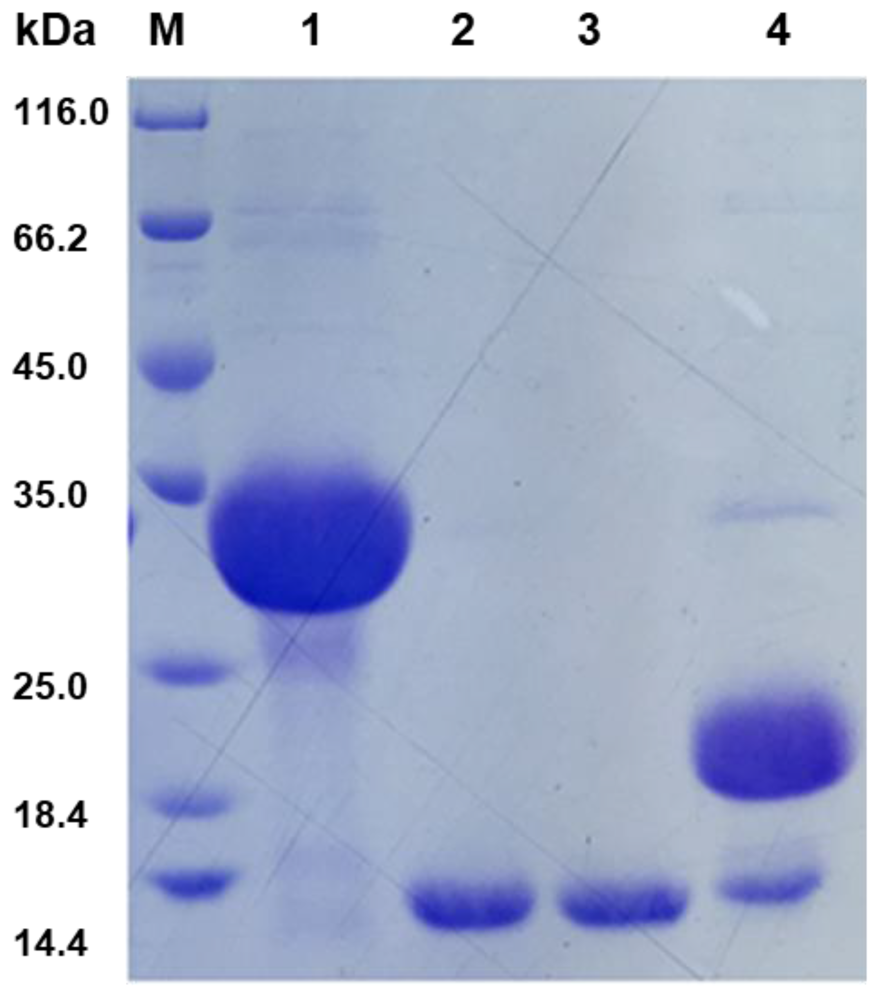 Genes 08 00265 g005 Genes 08 00265 g005