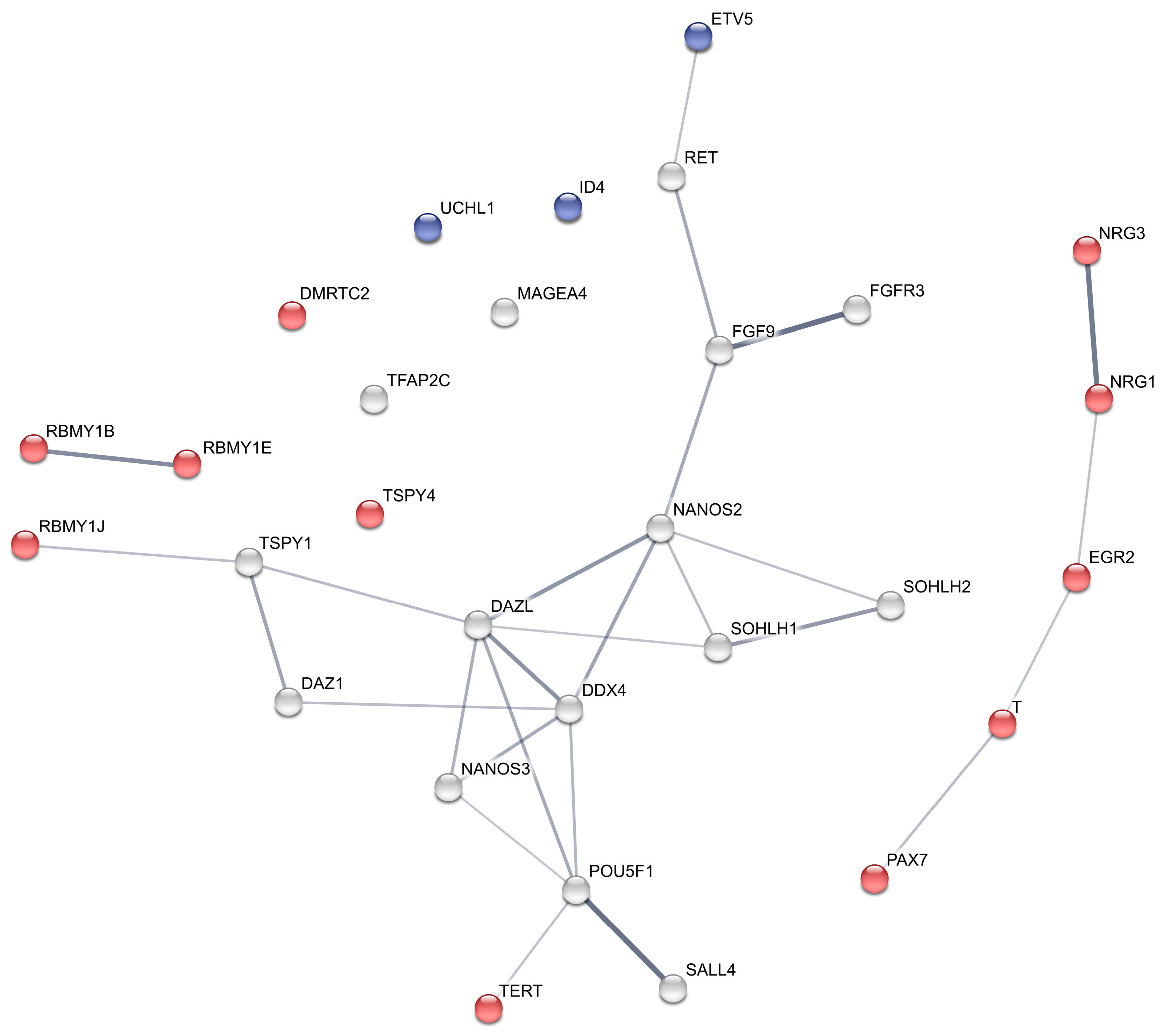 Genes 08 00267 g003 Genes 08 00267 g003