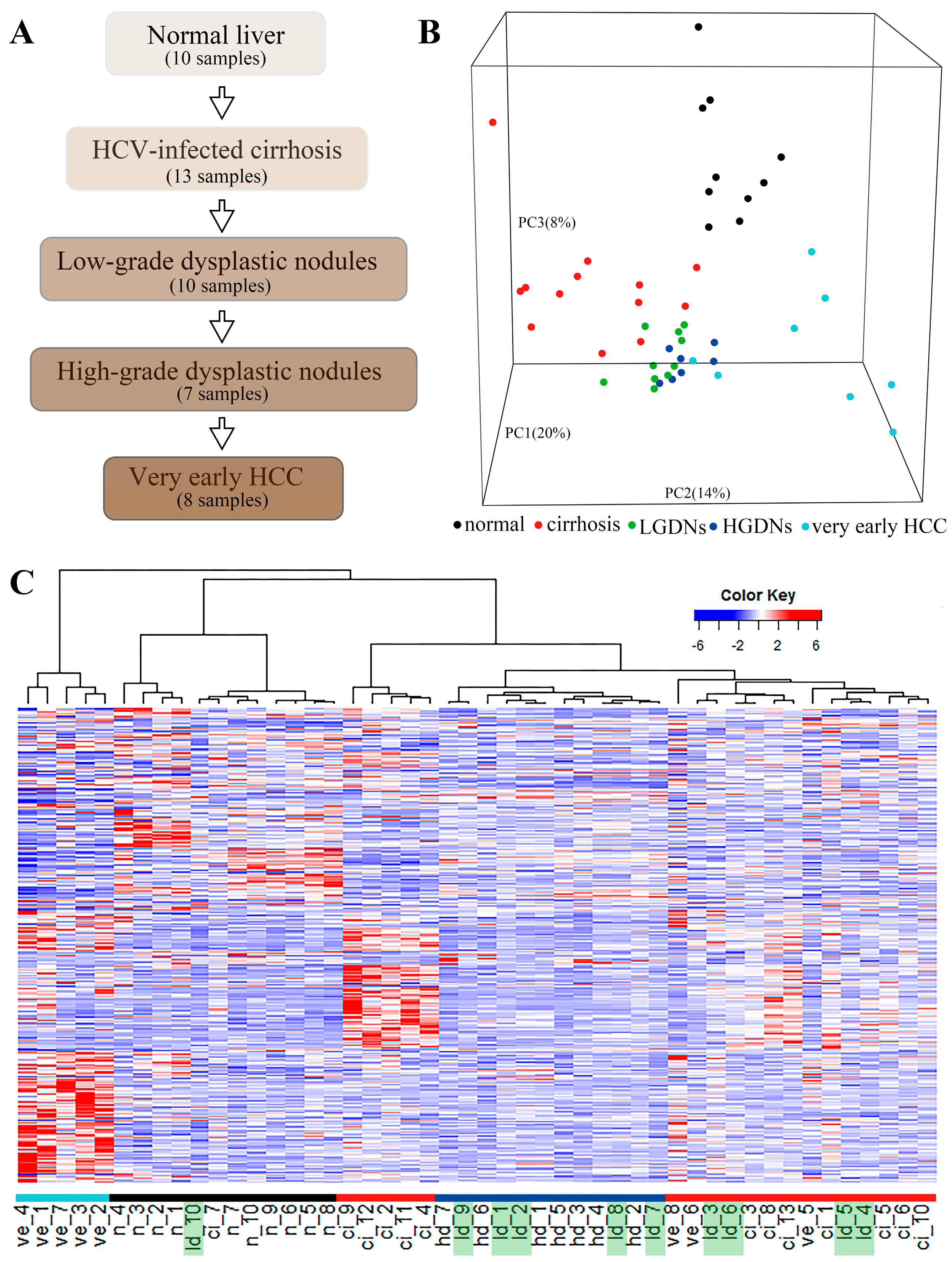 Genes 08 00268 g001 Genes 08 00268 g001