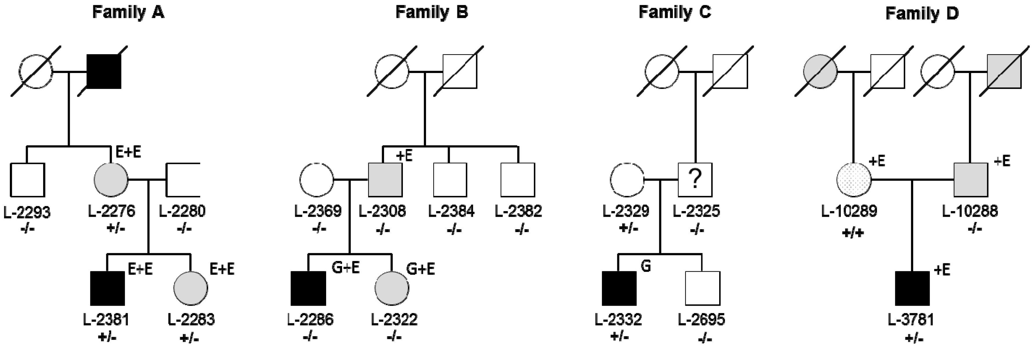 Genes 08 00276 g001