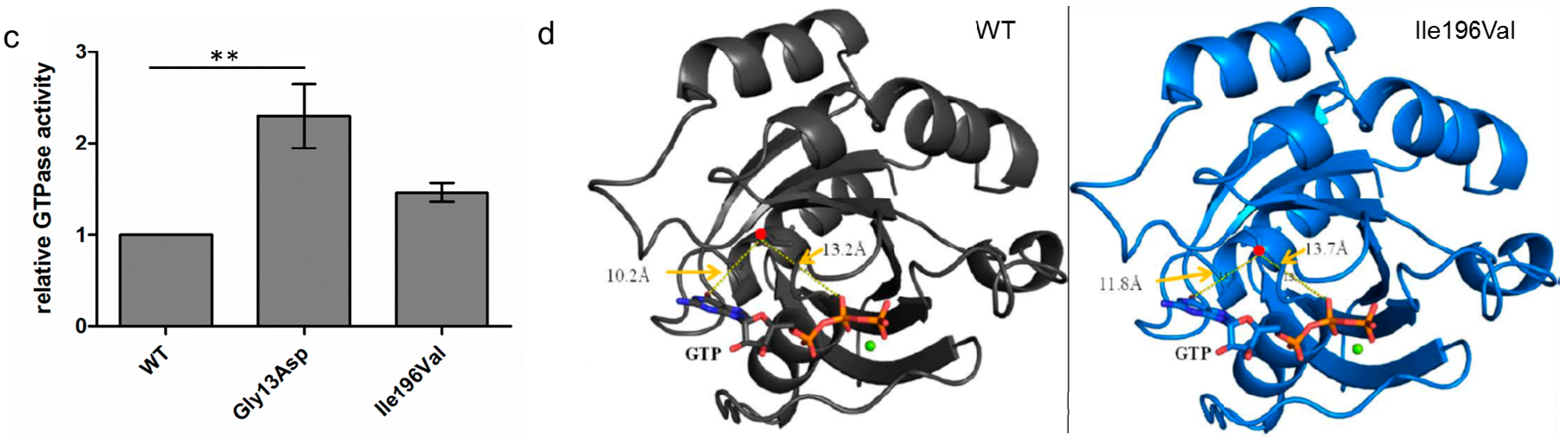 Genes 08 00276 g002b