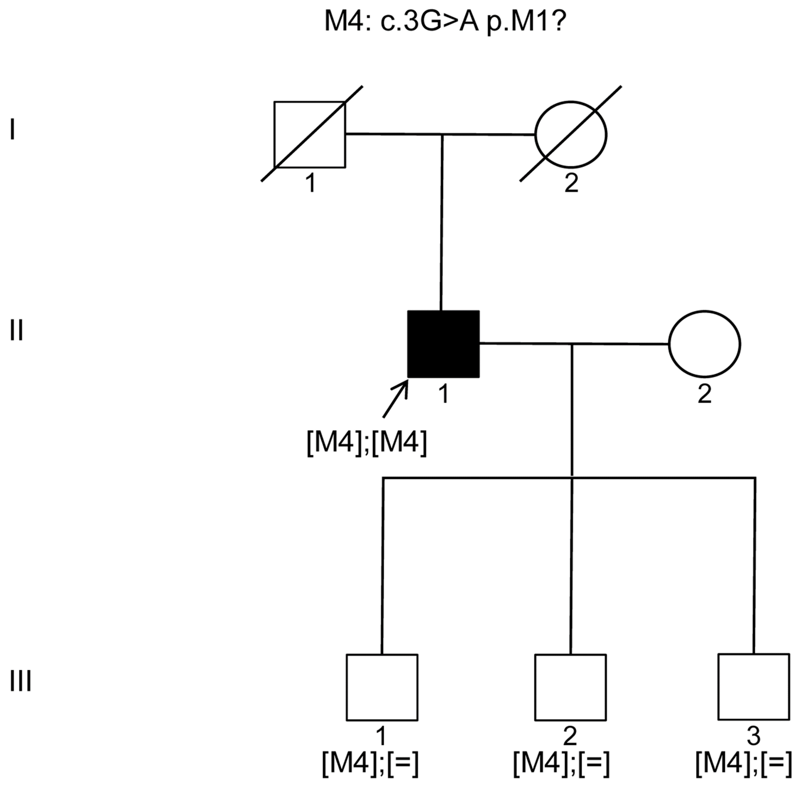 Genes 08 00277 g001 550