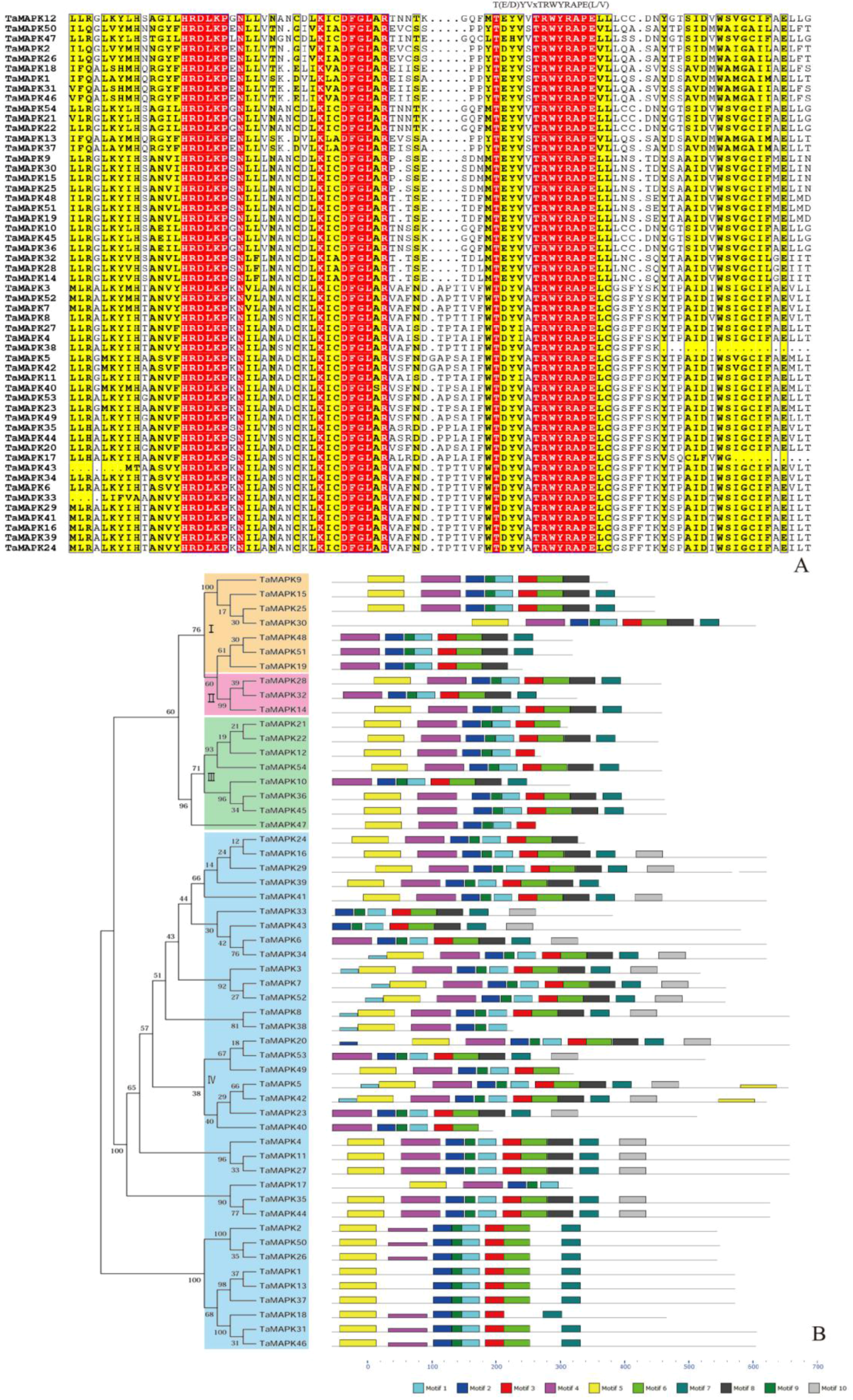 Genes 08 00284 g001 550