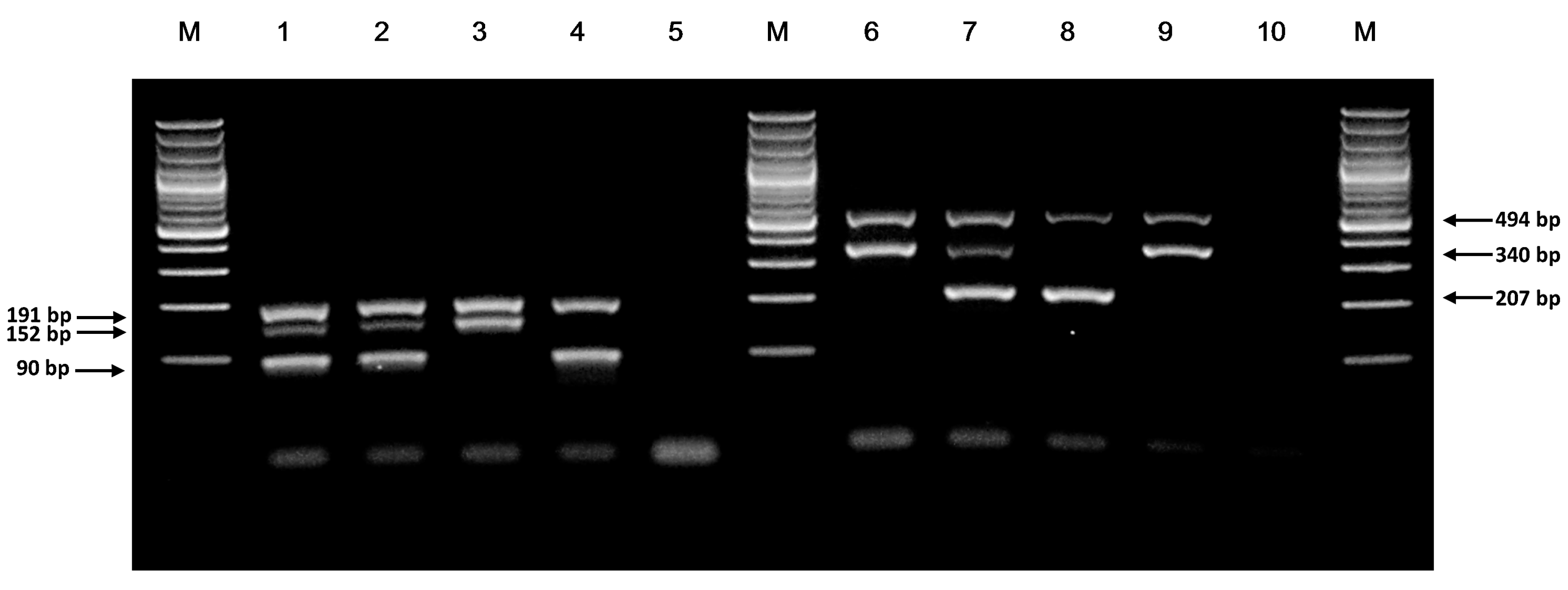 Genes 08 00285 g001 550