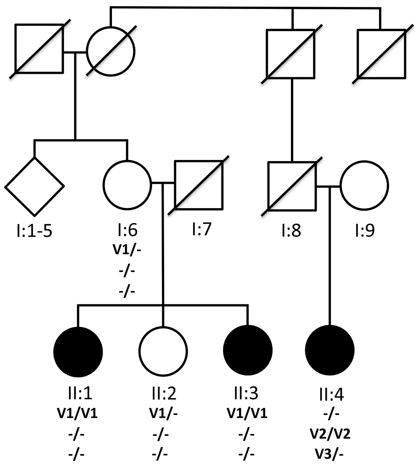 Pedigree and genotypes. All three affected siblings are