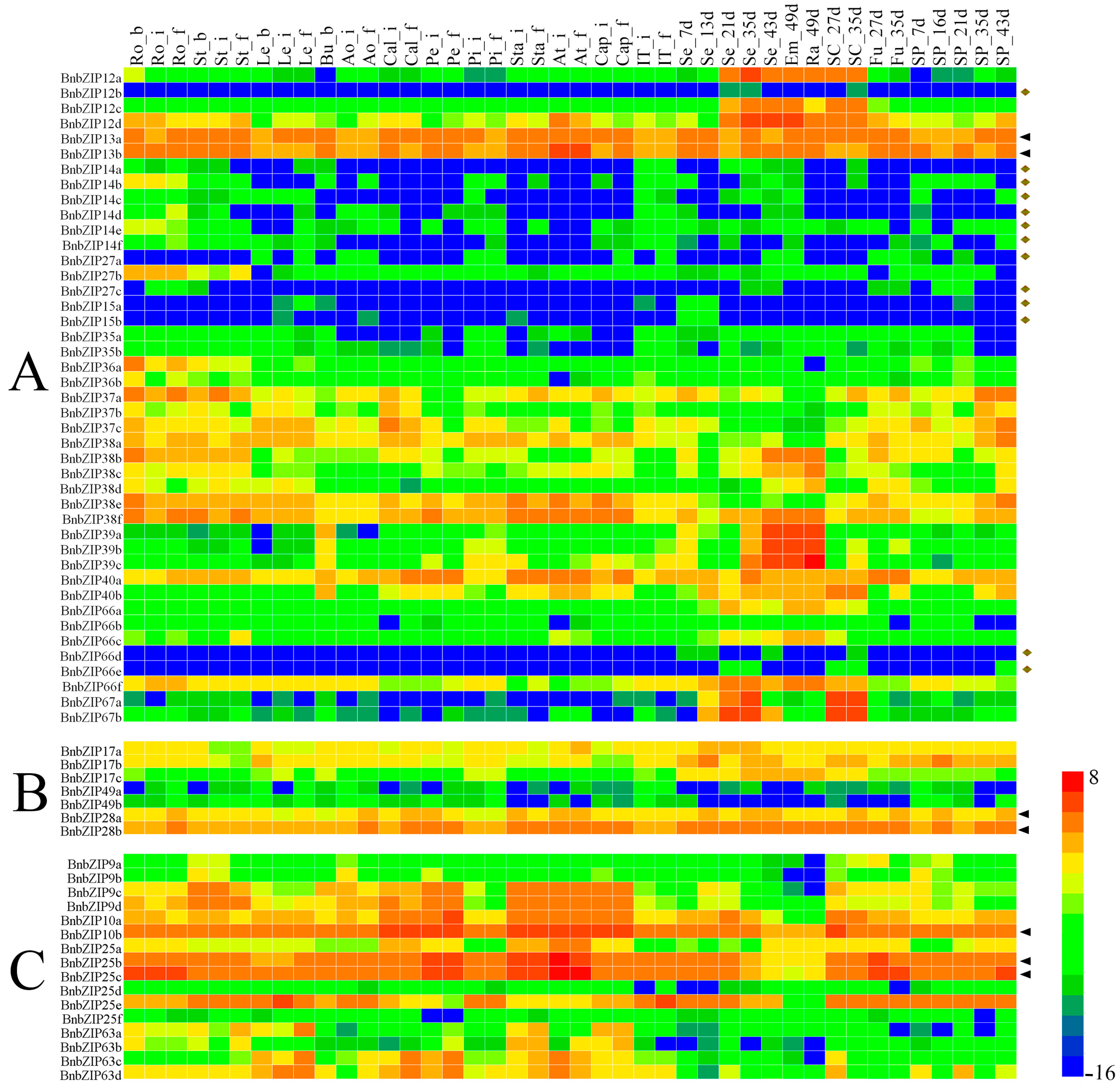 Genes 08 00288 g005a