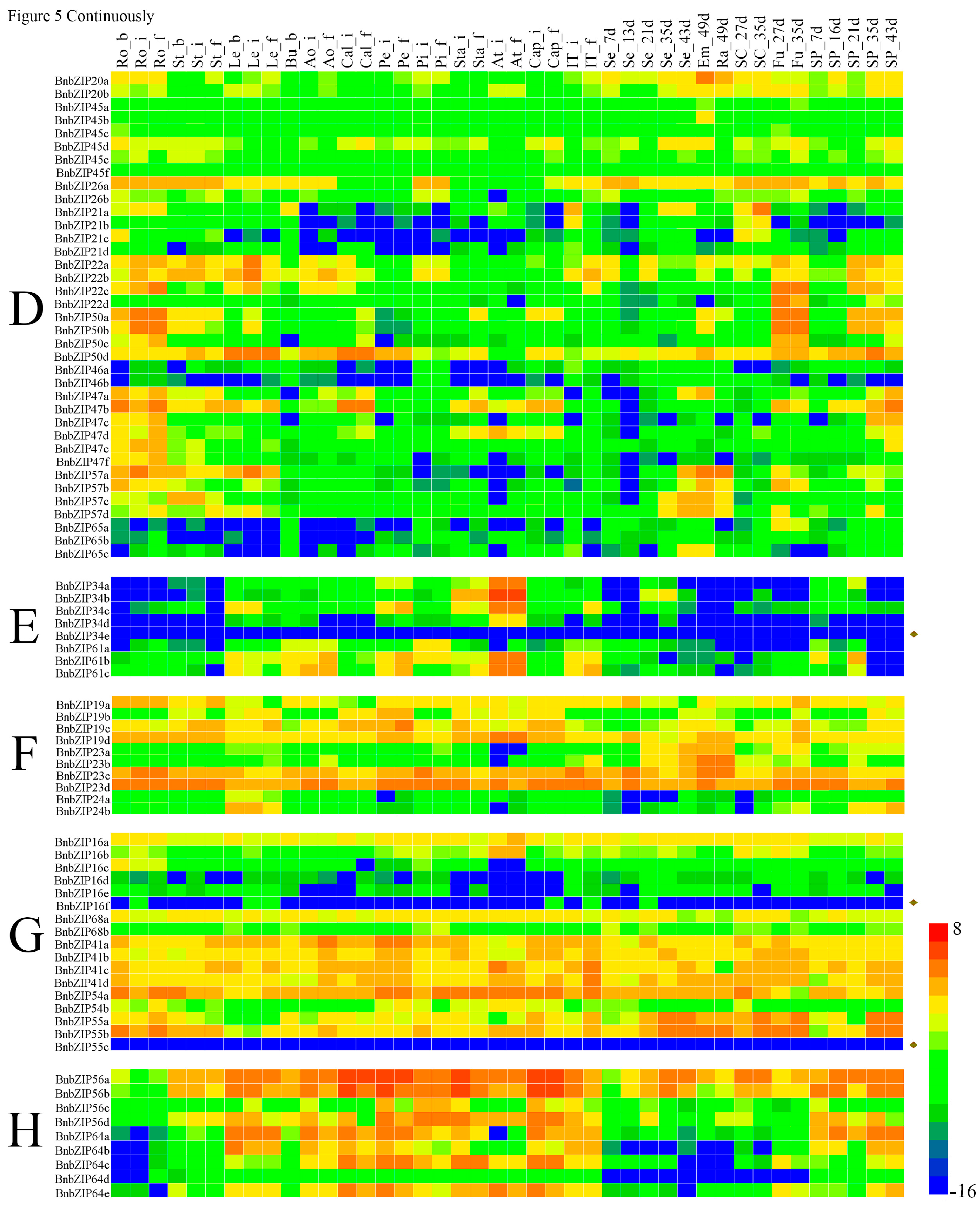 Genes 08 00288 g005b
