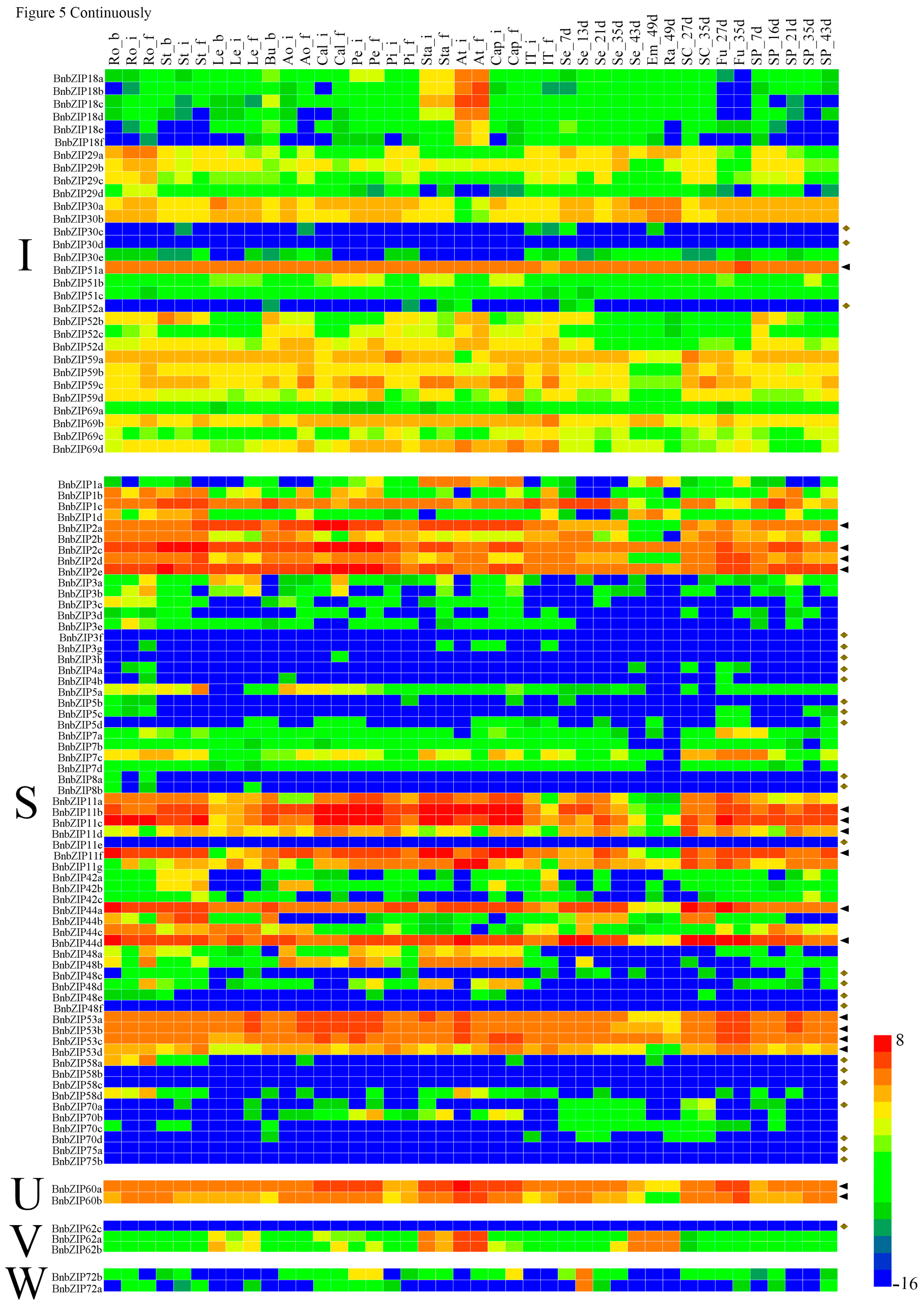Genes 08 00288 g005c