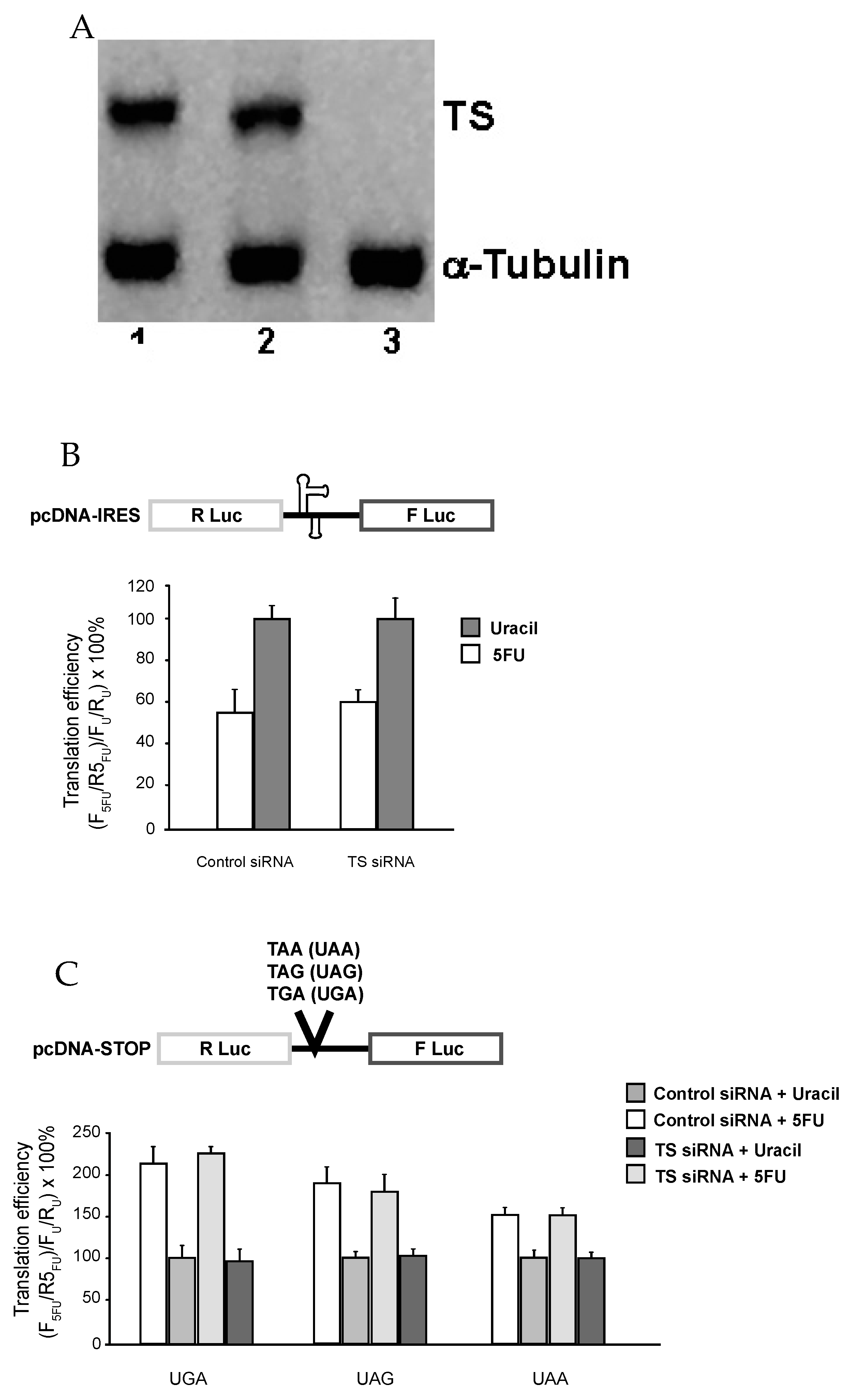 Genes 08 00295 g002 550